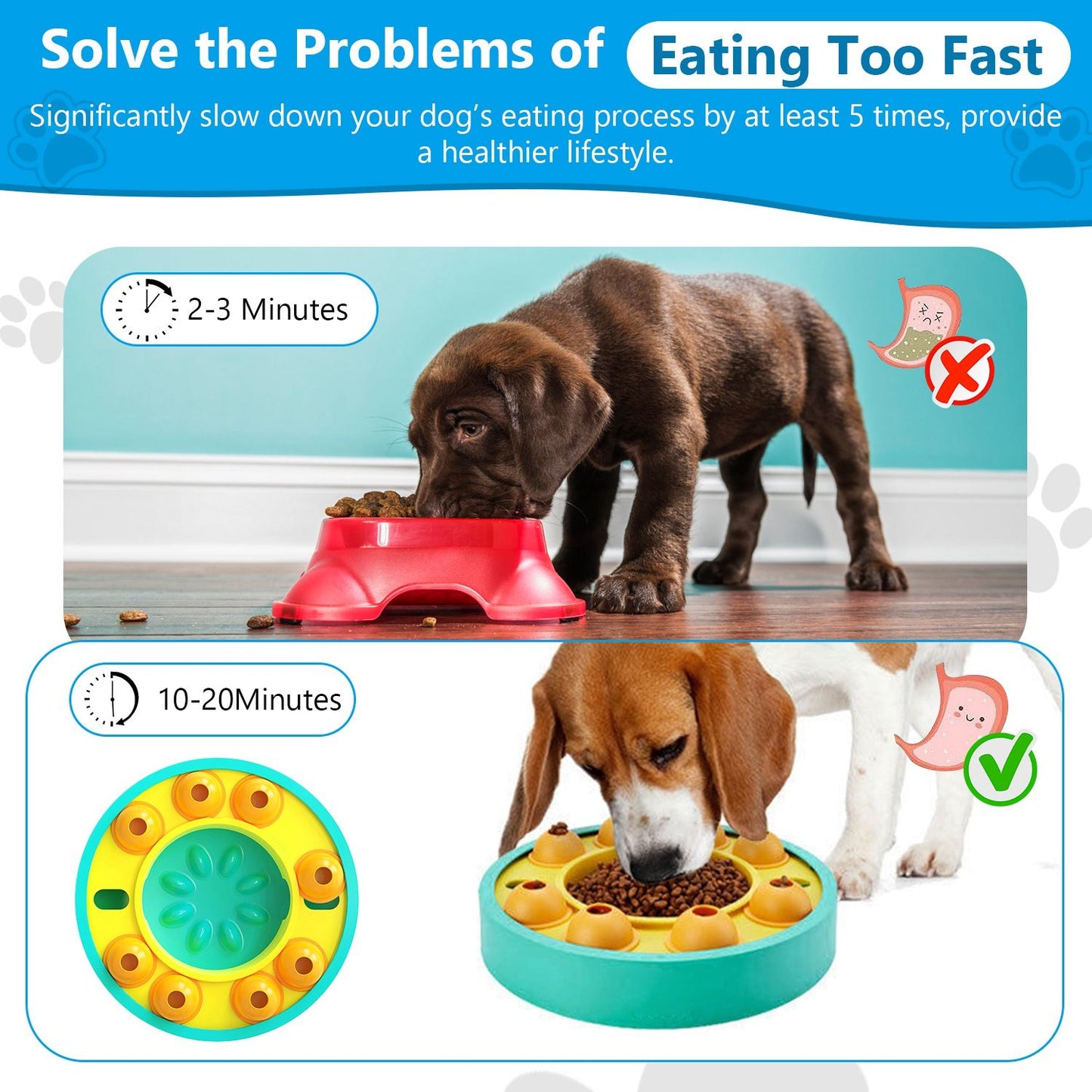 Infographic comparing standard fast-eating bowl to puzzle feeder that slows dogs' eating to 10–20 minutes