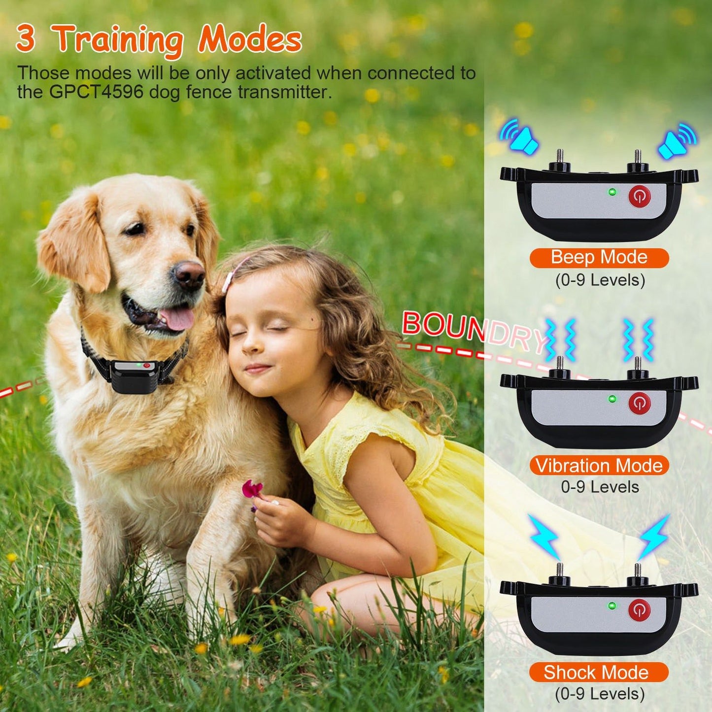 Dog wearing training collar in grass with icons showing beep vibration and shock modes