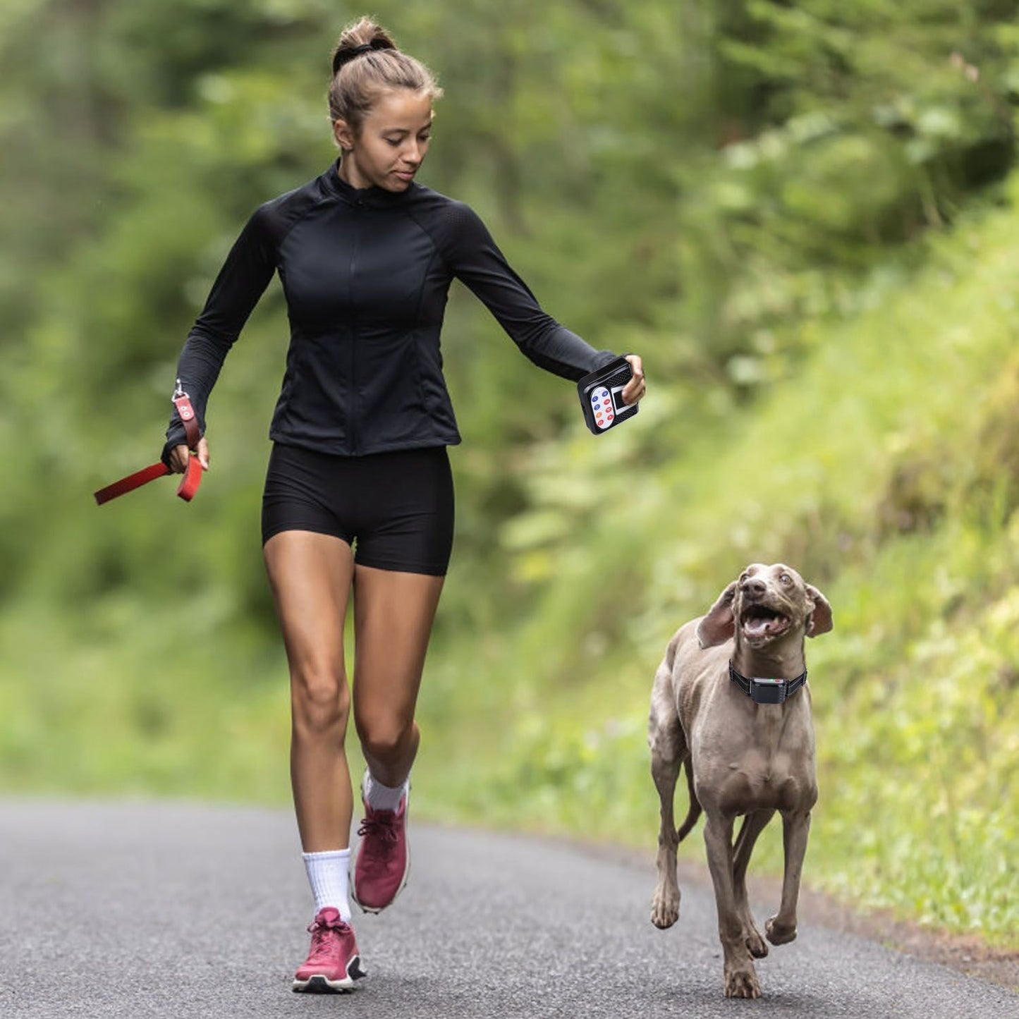 Runner holding remote while dog runs beside wearing the training collar on a trail