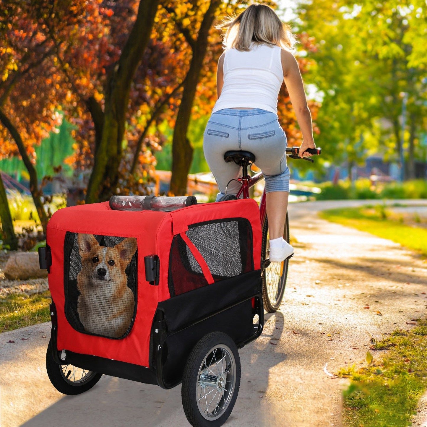 Bicyclist on path towing red pet trailer with a corgi inside