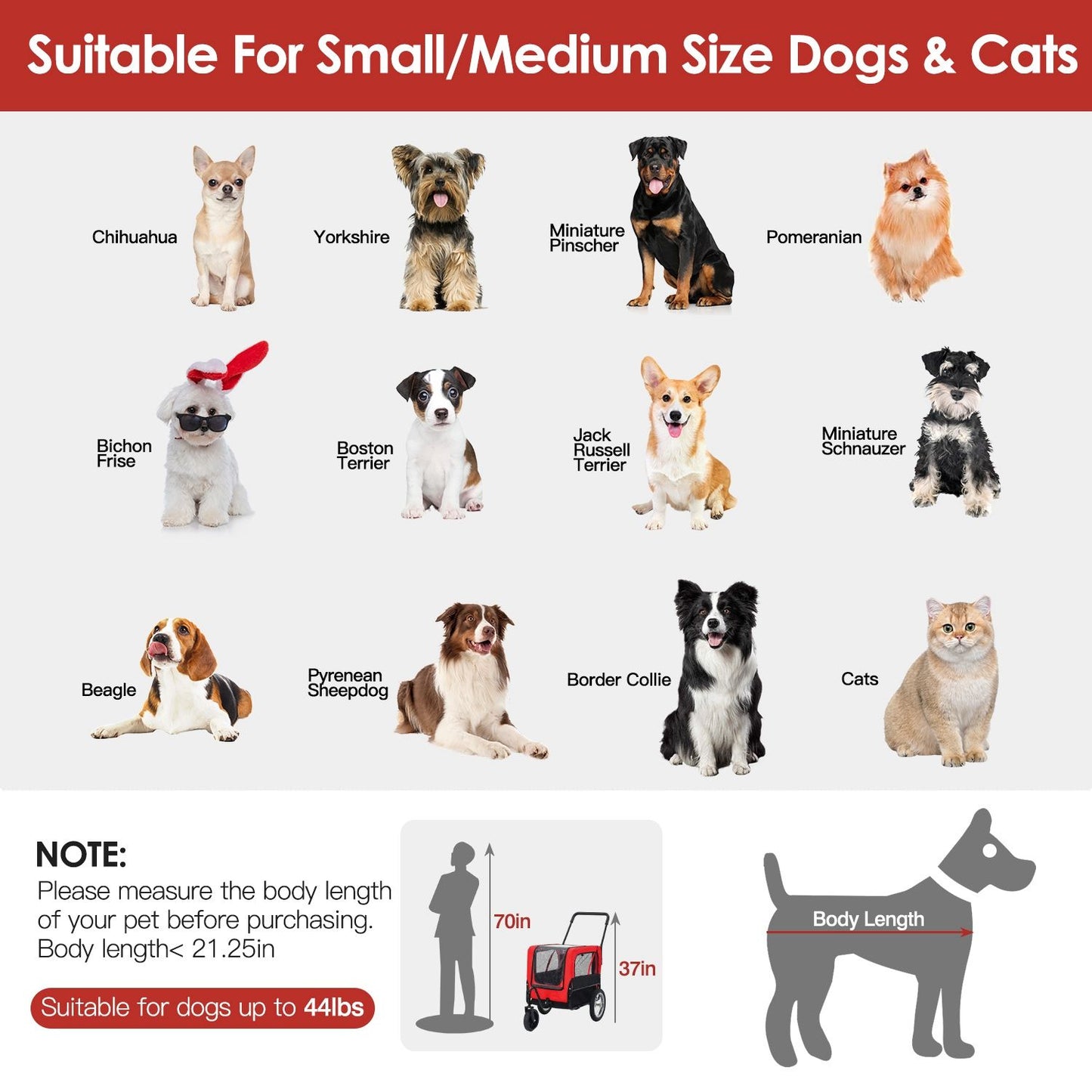 Chart of suitable small and medium dog breeds and cats with note on 21.25 in body length and 44 lb limit