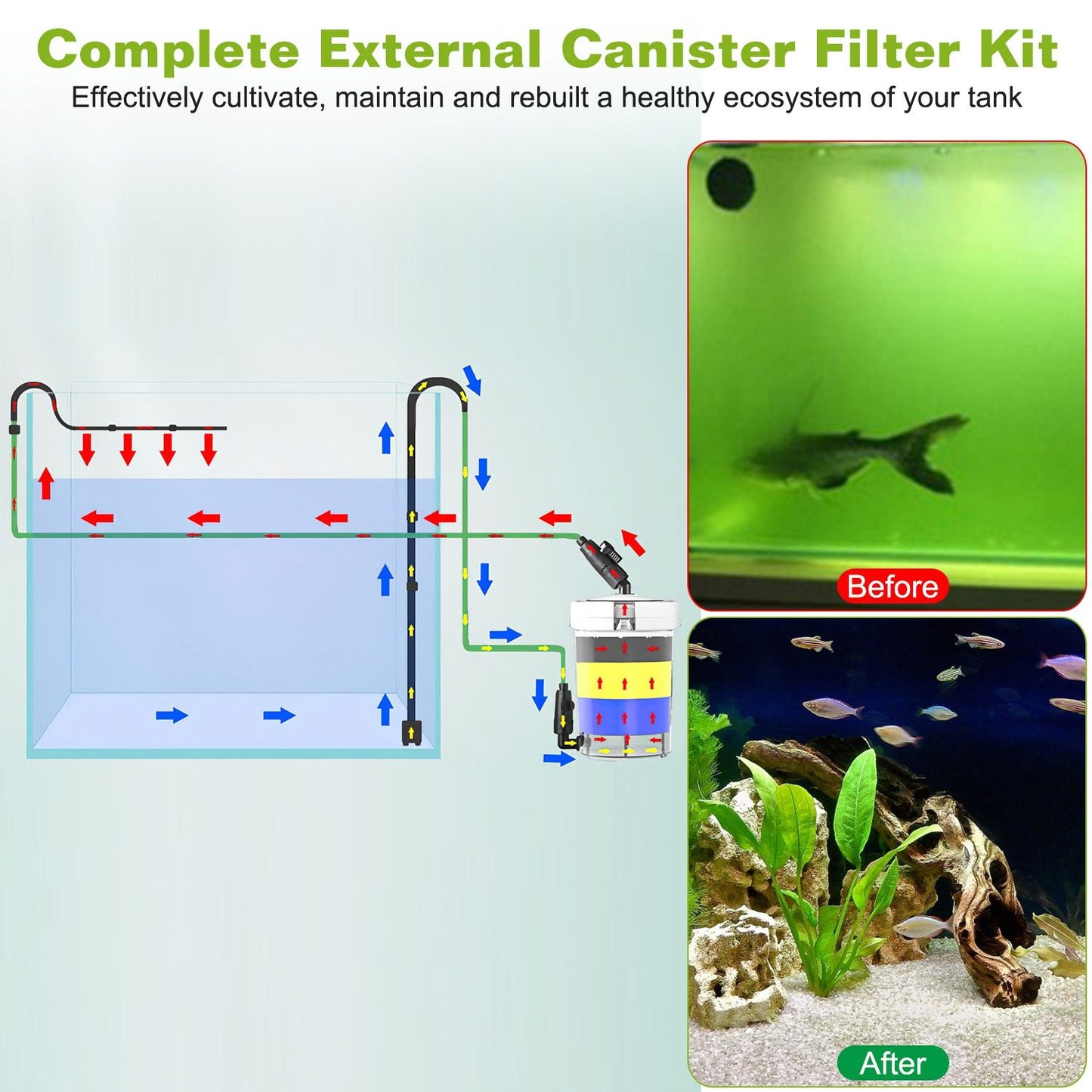 Installation diagram showing canister connected to aquarium with flow arrows and before/after photos