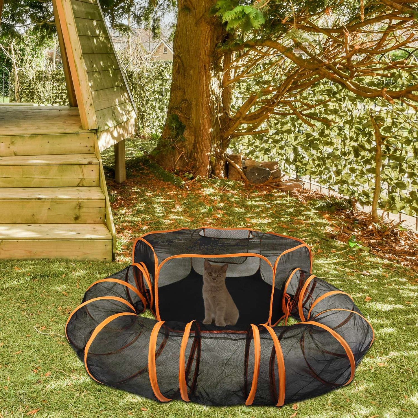 Pet tent with curved tunnel placed on grass under a tree with a small kitten visible inside