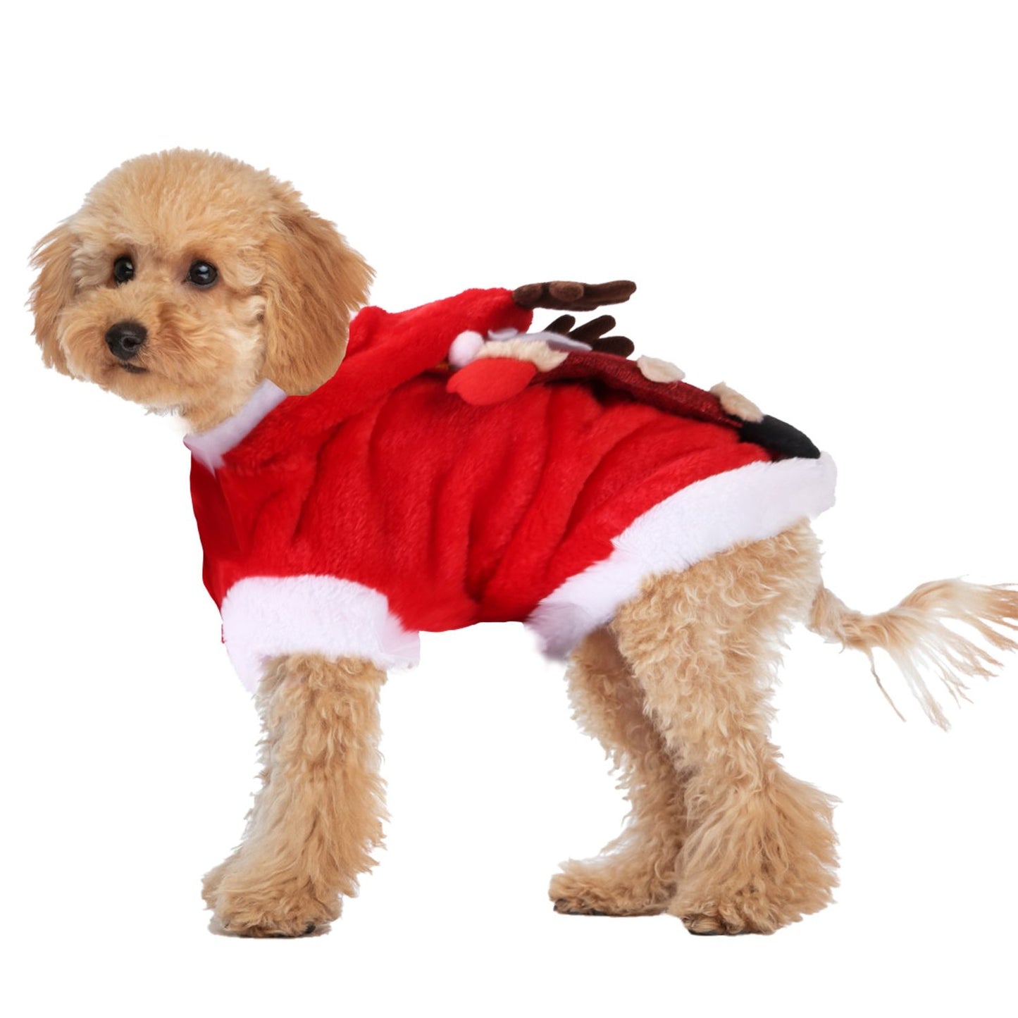 Side view of small dog wearing red Christmas coat showing hem, leg openings and antlered hood