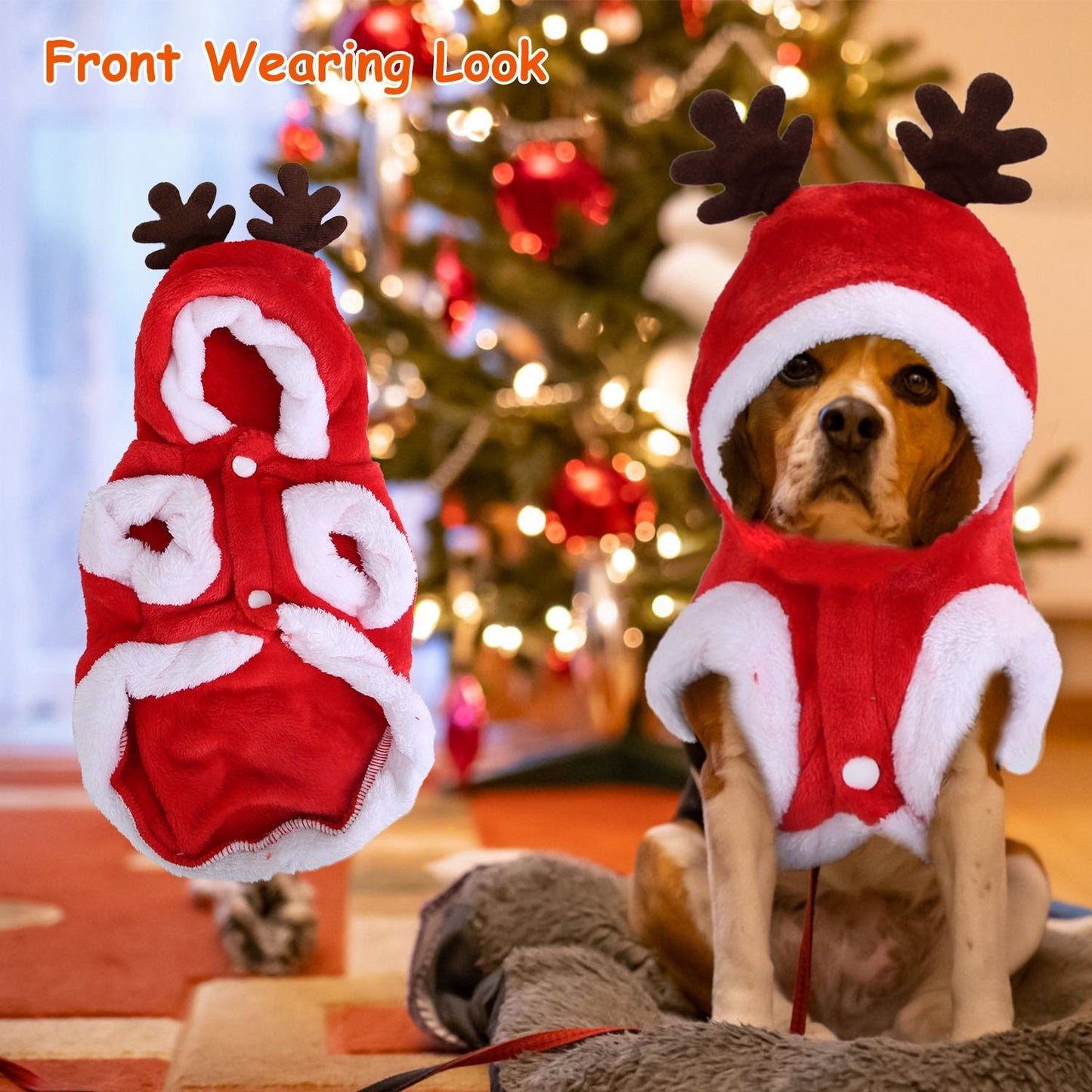 Holiday pet coat showing front snap closures, hood fit, and leg openings on a small dog