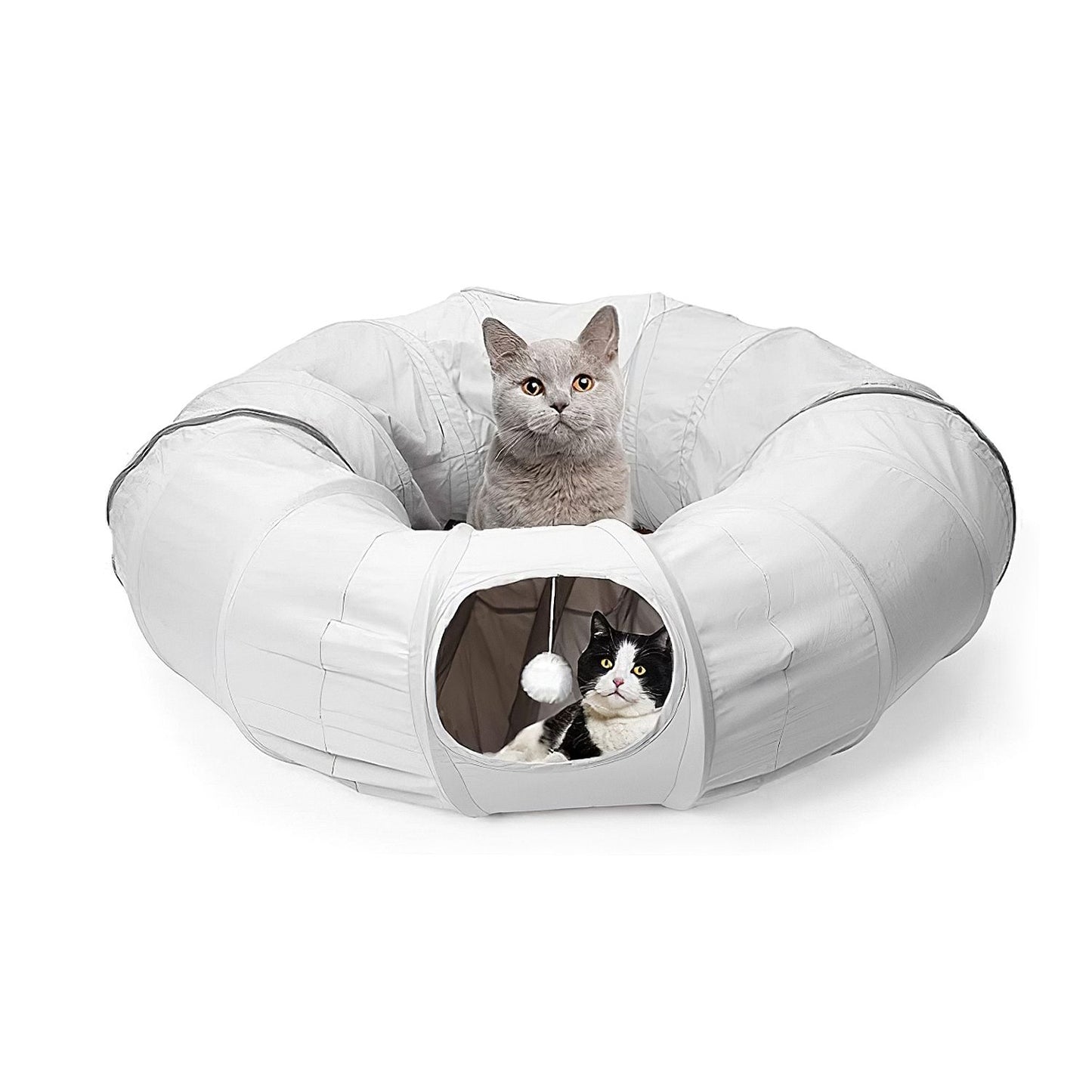 studio view of circular cat tunnel bed with hanging ball, center cushion, and two cats inside