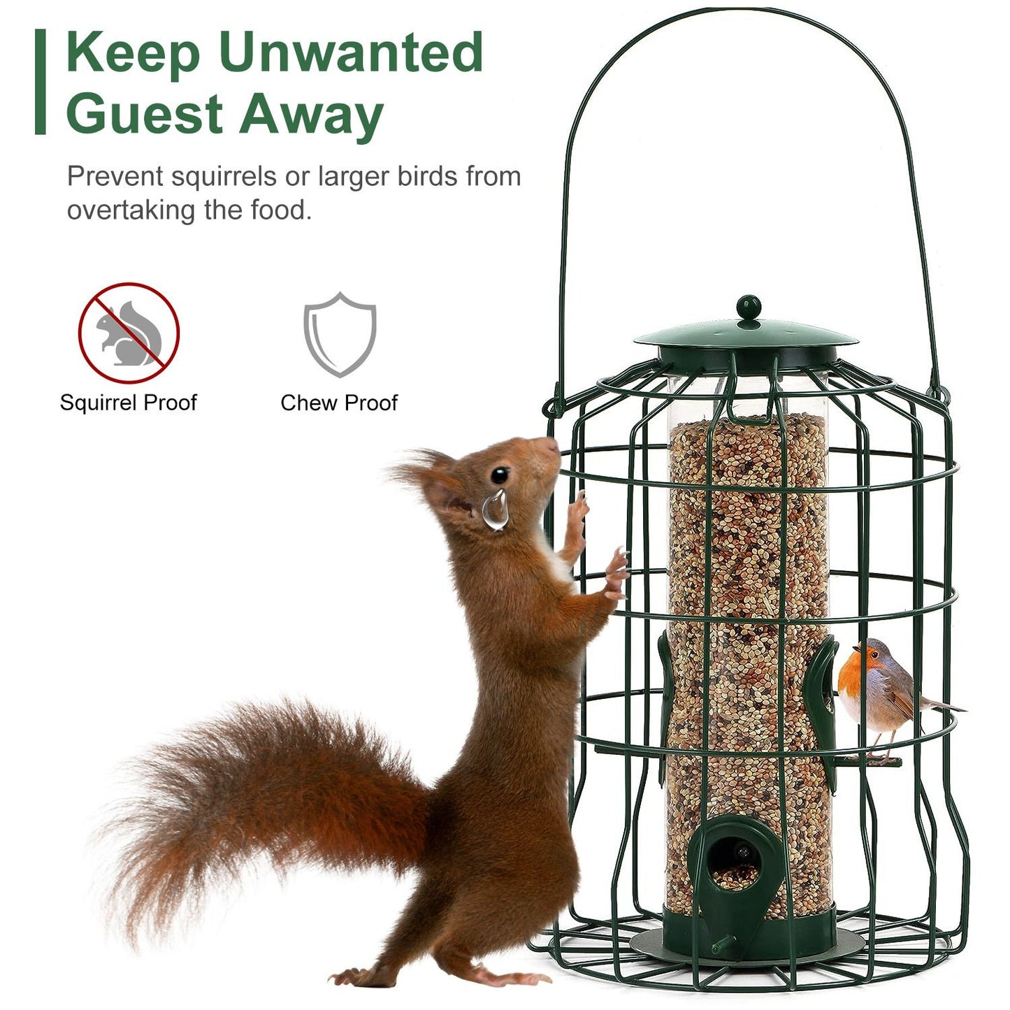 Squirrel-proof cage feeder with narrow feeding ports and perches to keep seeds safe