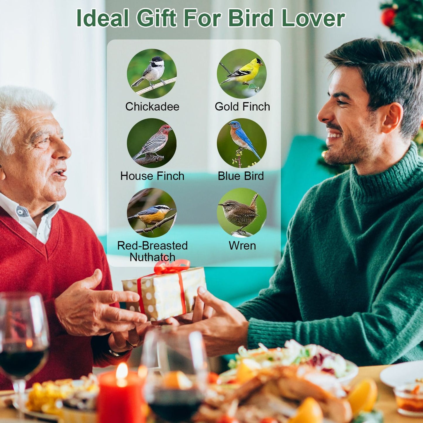 Gift themed layout listing chickadee goldfinch house finch bluebird nuthatch and wren as feeder visitors