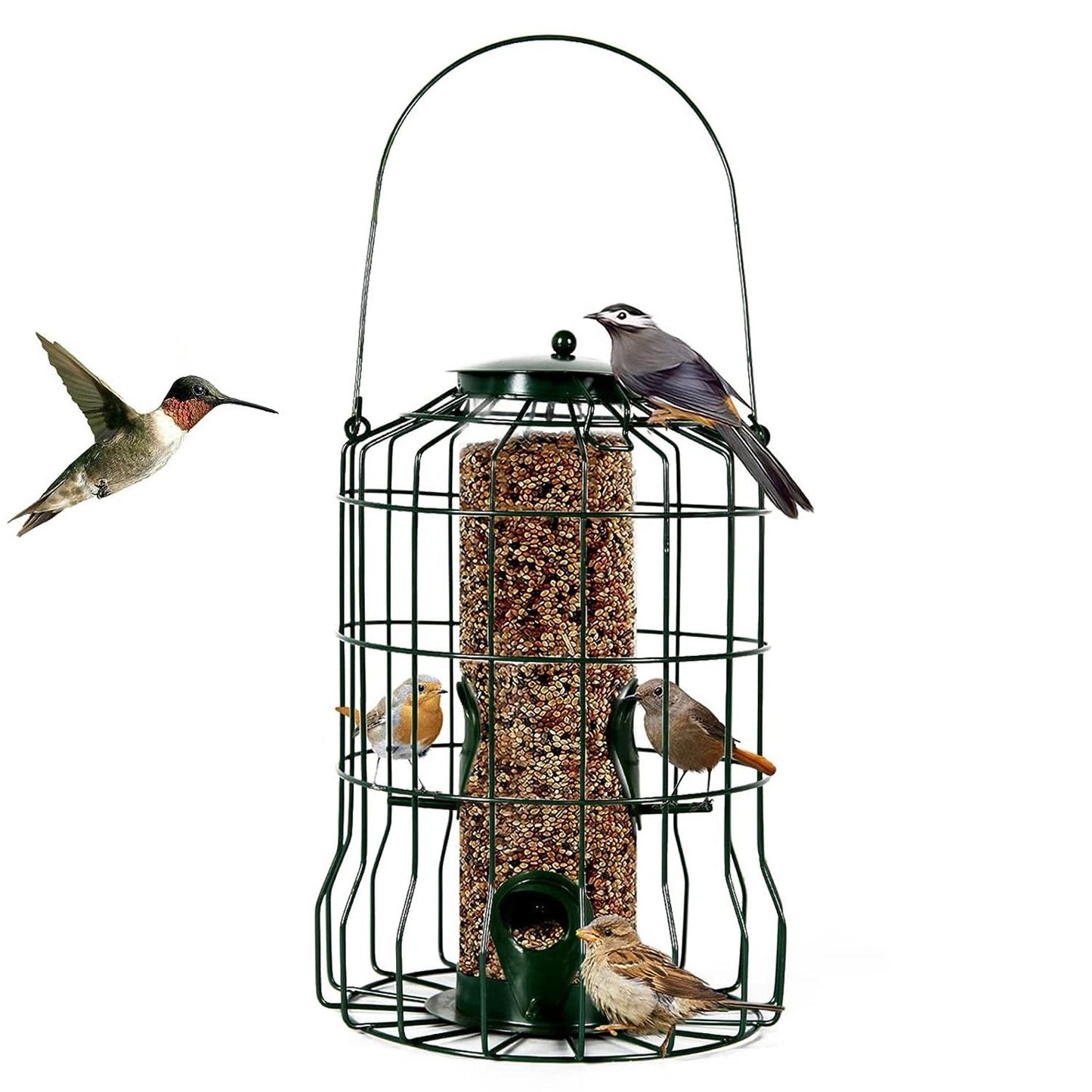 Filled bird feeder with metal cage and transparent seed tube showing small birds at the feeding ports