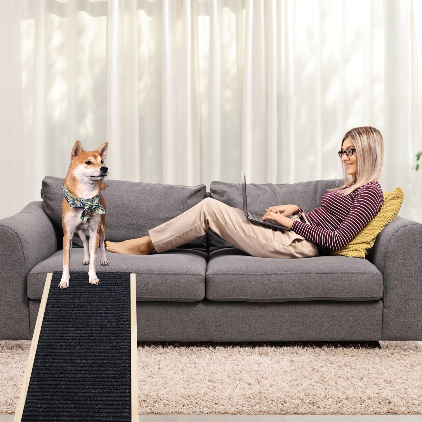 dog using wooden ramp to access grey sofa in living room