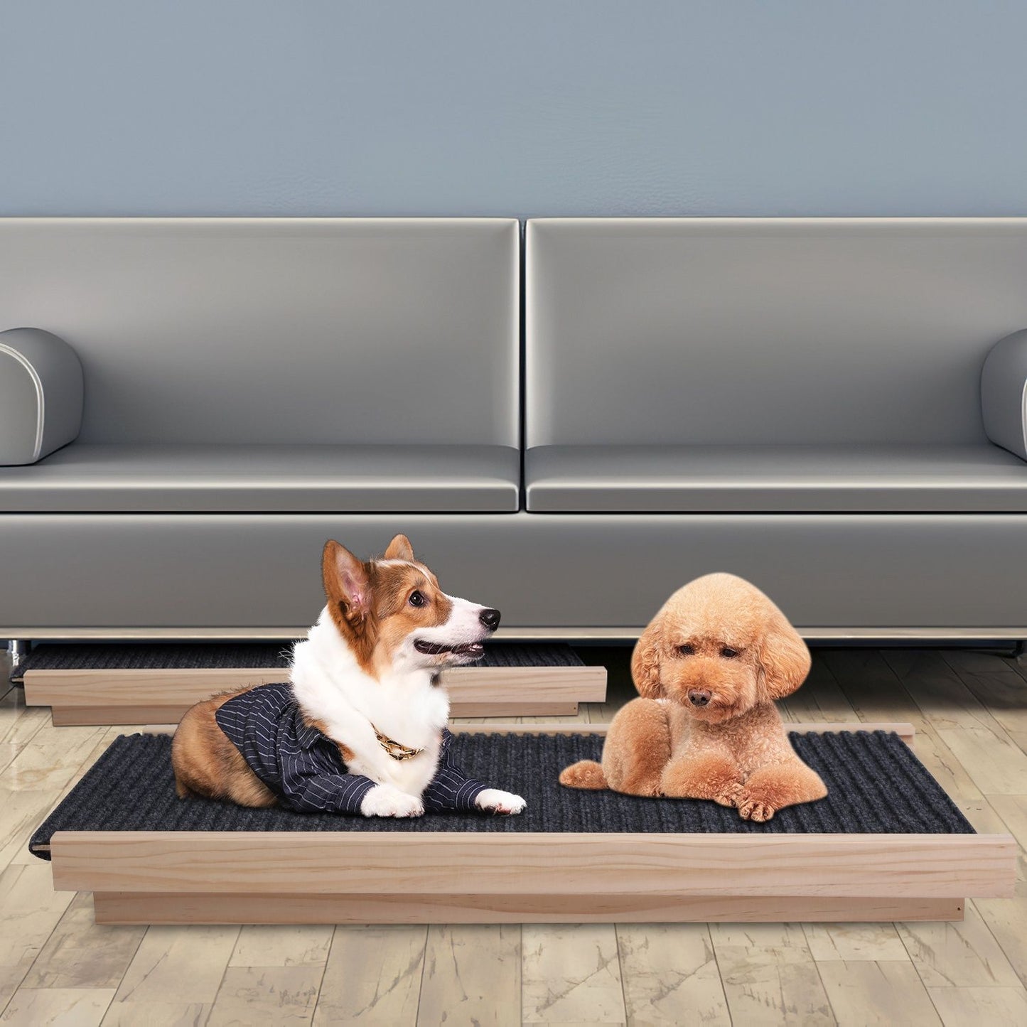 two small dogs resting on flattened wooden ramp mat in front of sofa