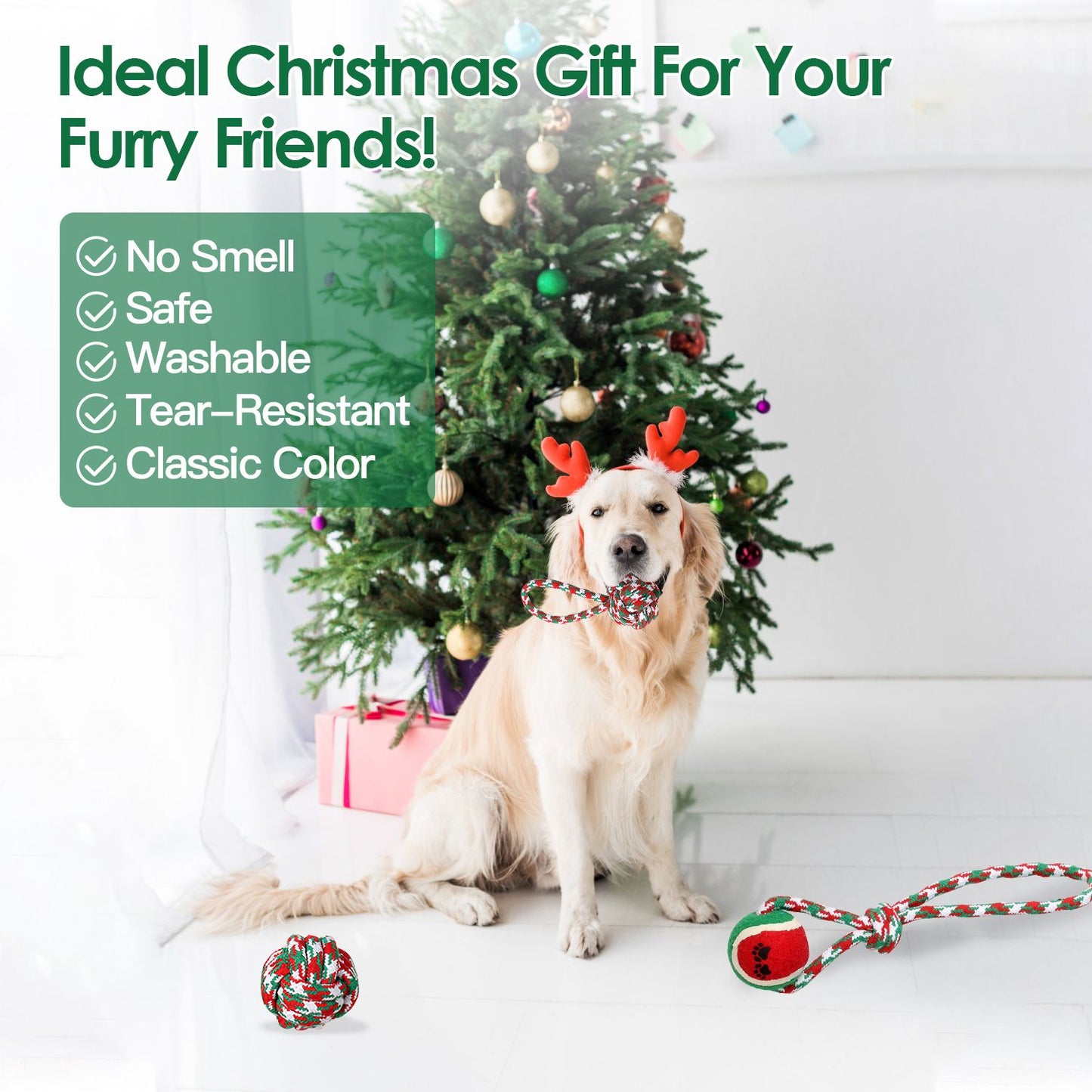 Dog by a Christmas tree with scattered red green rope toys and a gift message