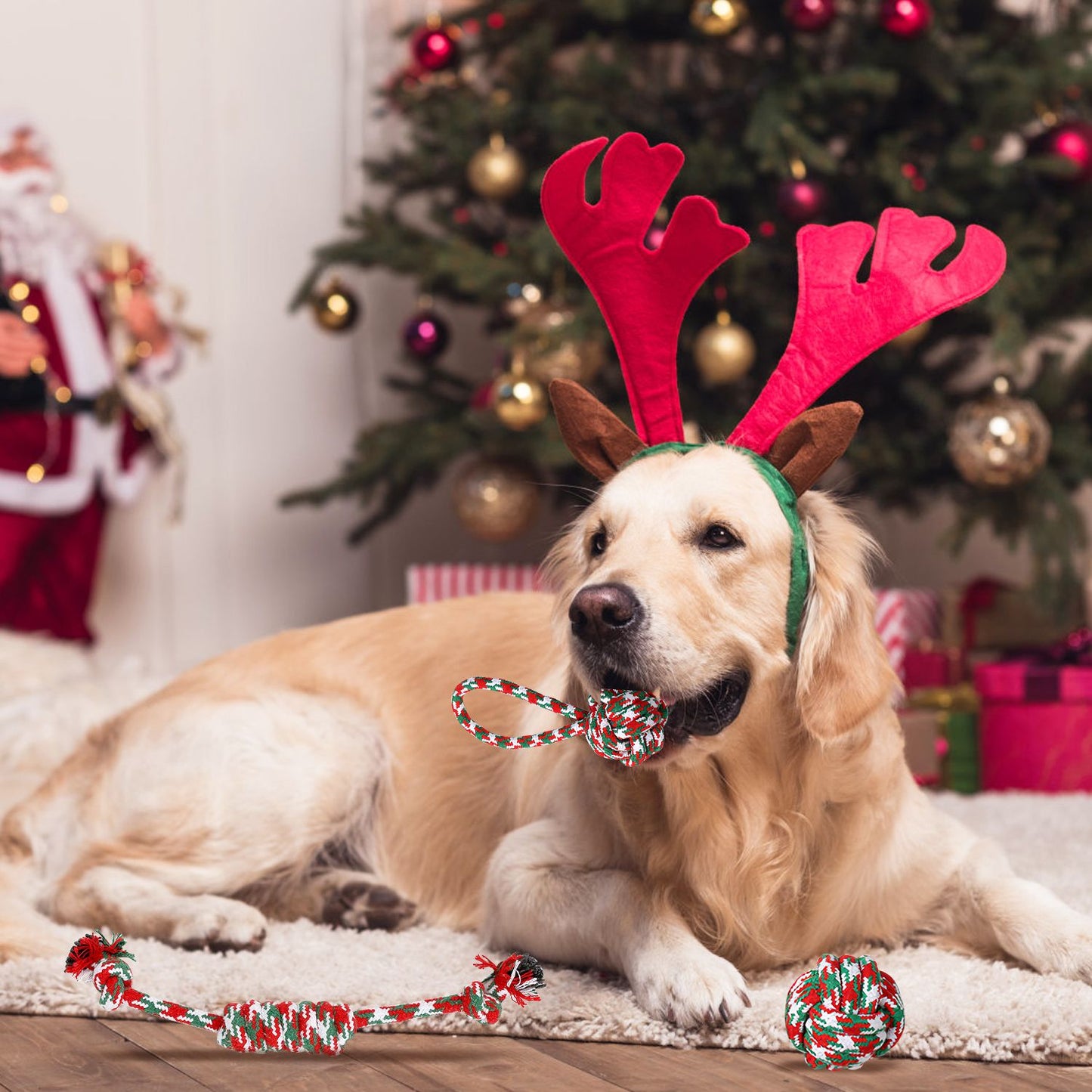 Golden retriever with reindeer antlers holding a knotted rope toy among other toys on a rug