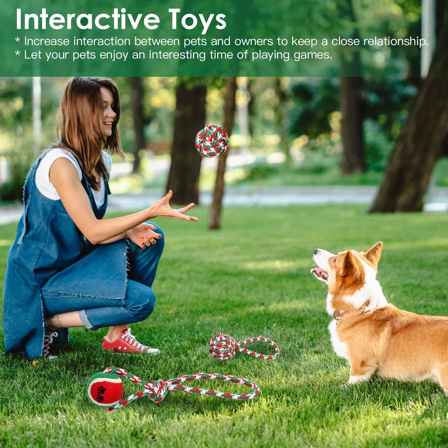 Person tossing a red green rope ball to a corgi in a park with other toys on the grass