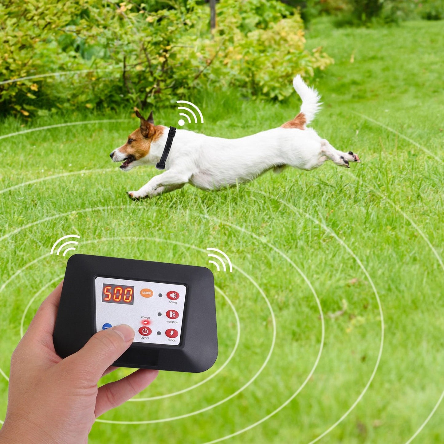 Hand-held transmitter in grassy yard with wireless range rings and a running dog showing fence mode in use