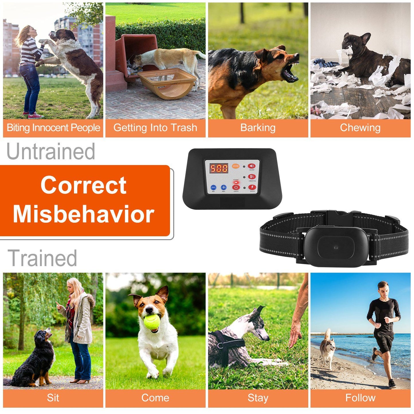 Before-and-after collage showing untrained behaviors and trained commands alongside collar and transmitter