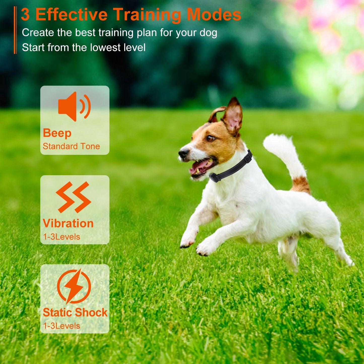 Dog running with training collar illustrating beep, vibration and static shock modes