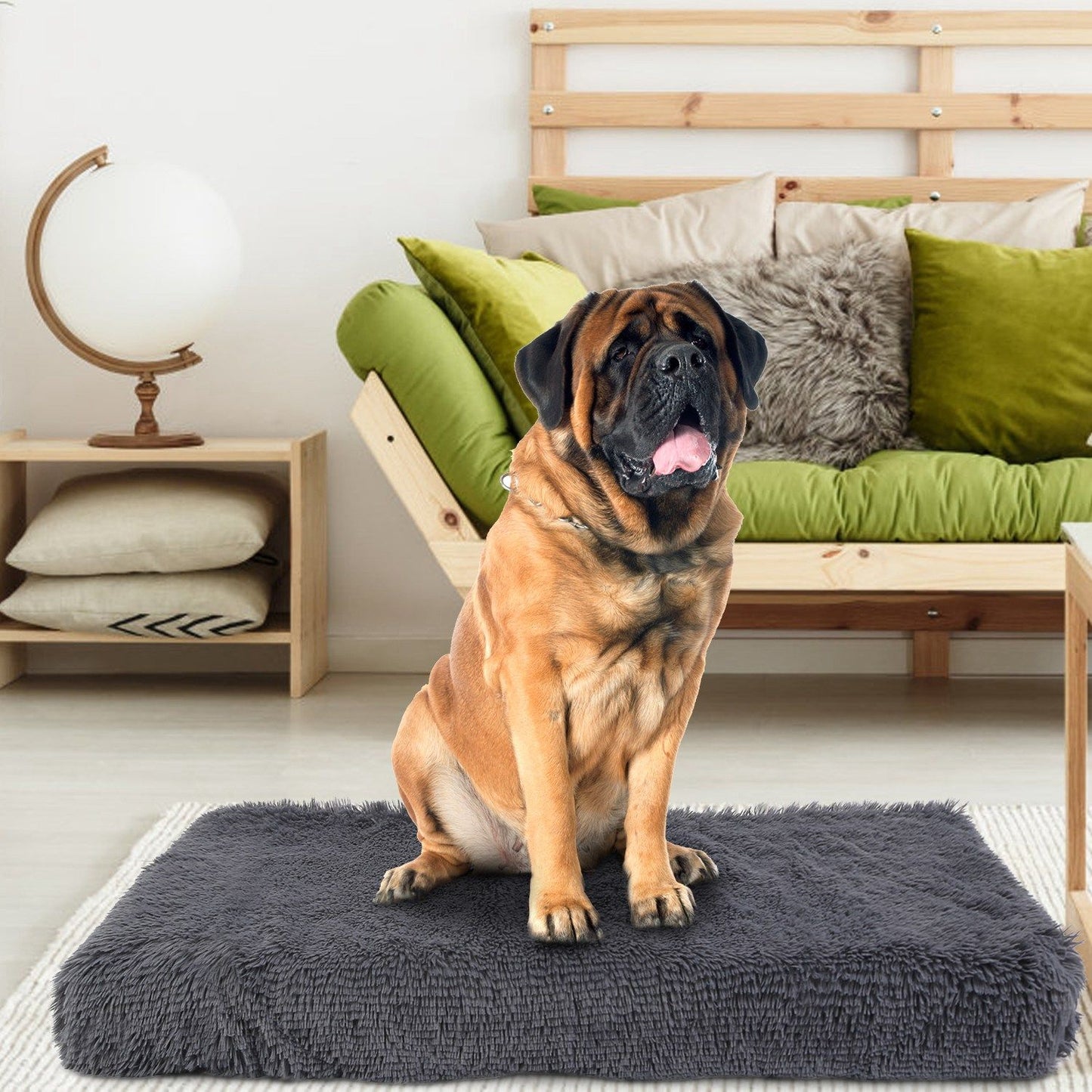 Large brown dog sitting on a rectangular dark grey shag mat in a styled living room