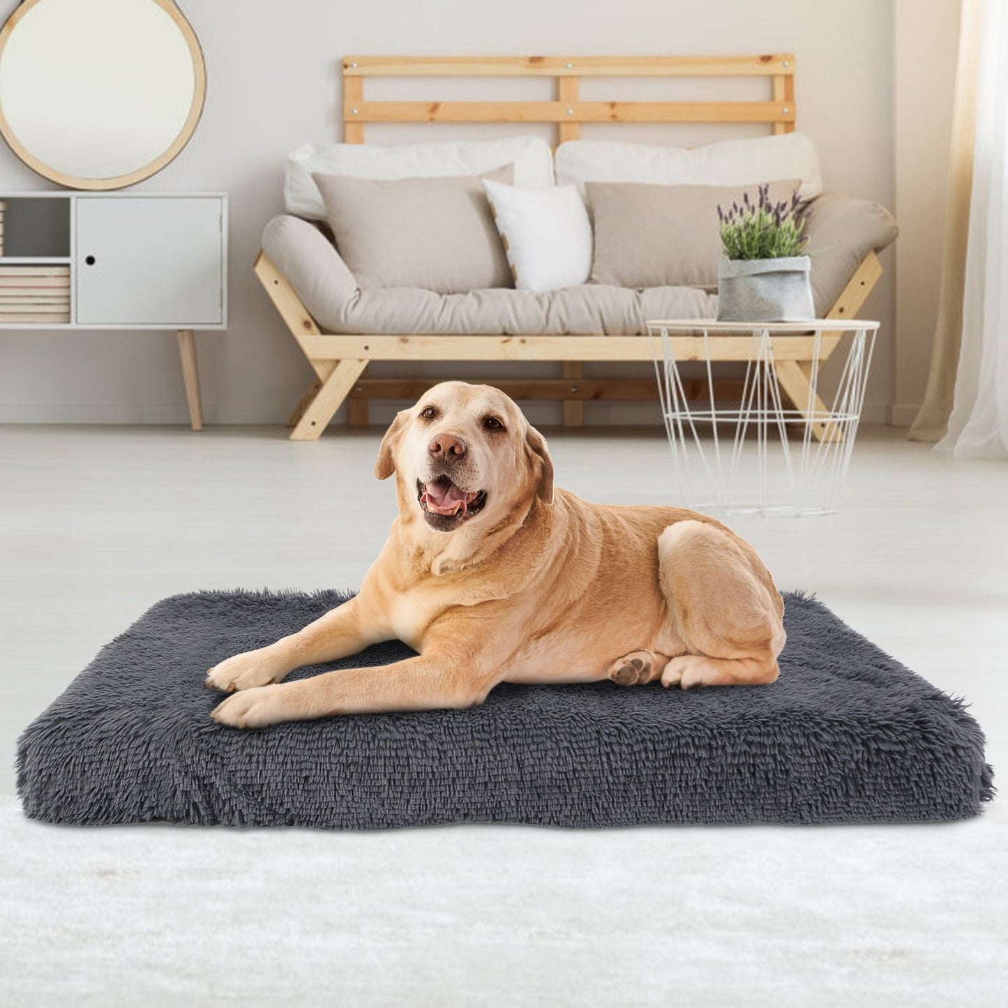 Golden retriever lying on an extra-large dark grey plush dog mat in a bright living room