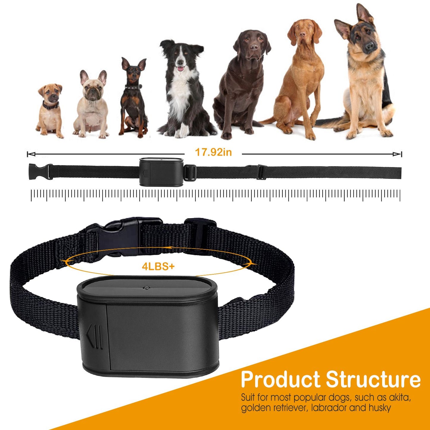 Flat lay of complete dog fence kit with transmitter, two collars, wire, adapter and accessories