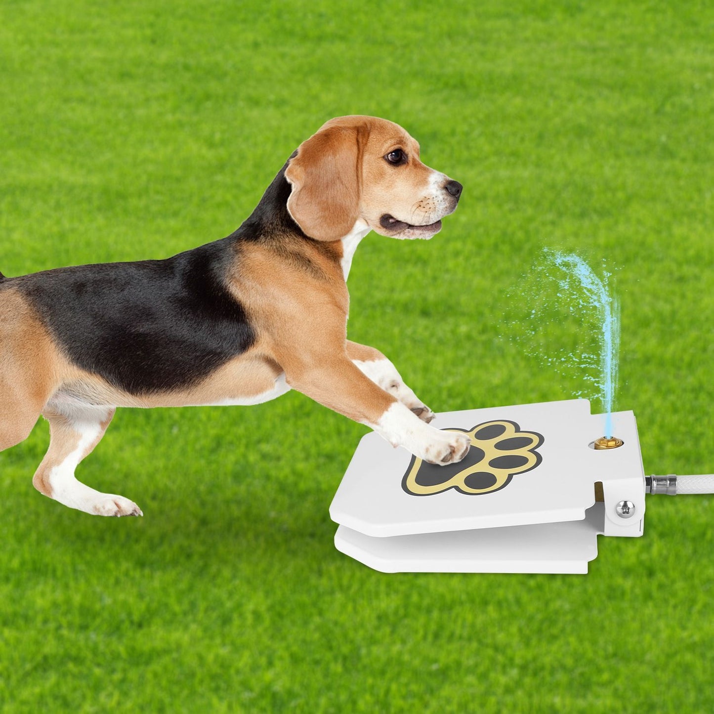 Dog jumping to press paw pedal and activate water stream on lawn