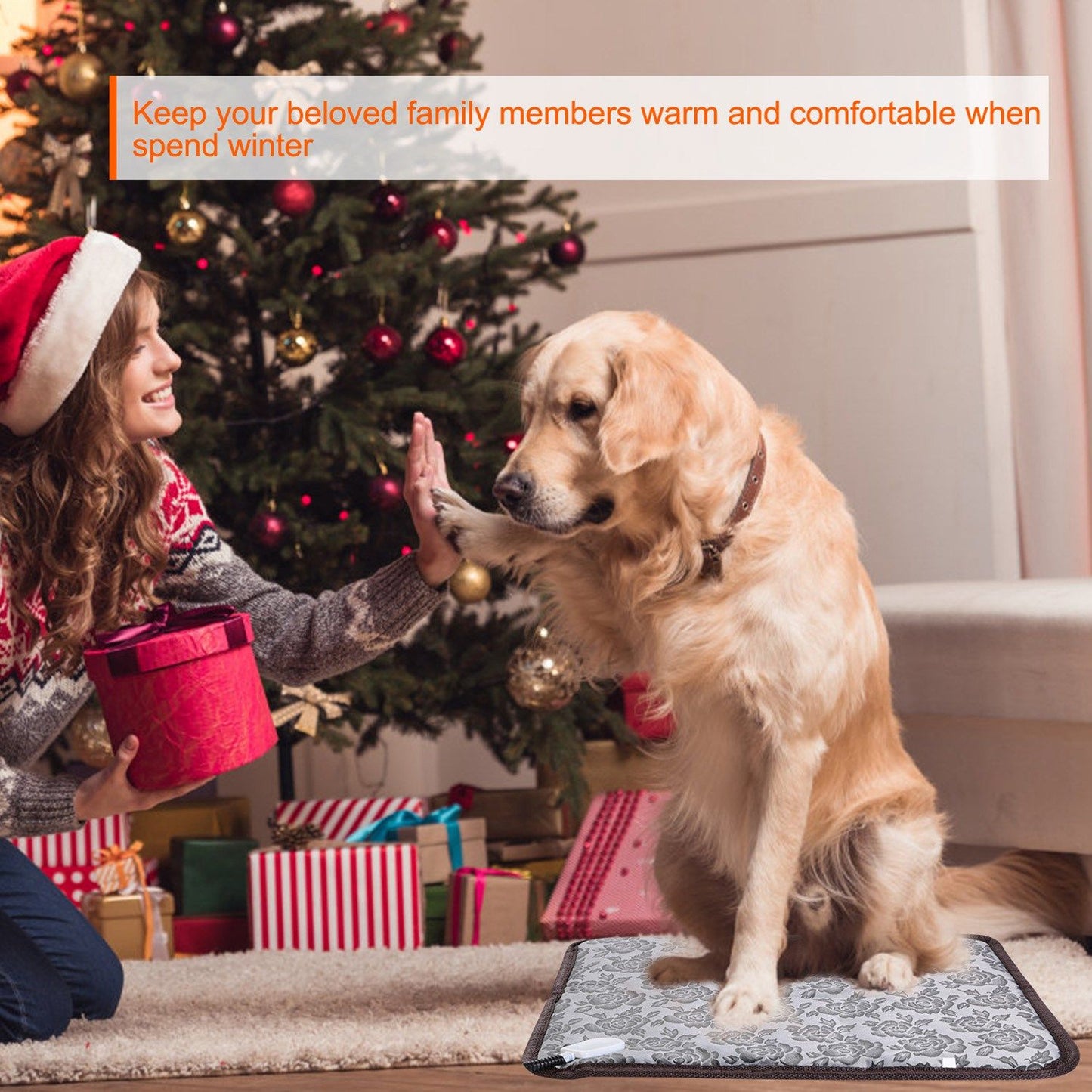 Dog using pet heating pad in living room near a decorated Christmas tree