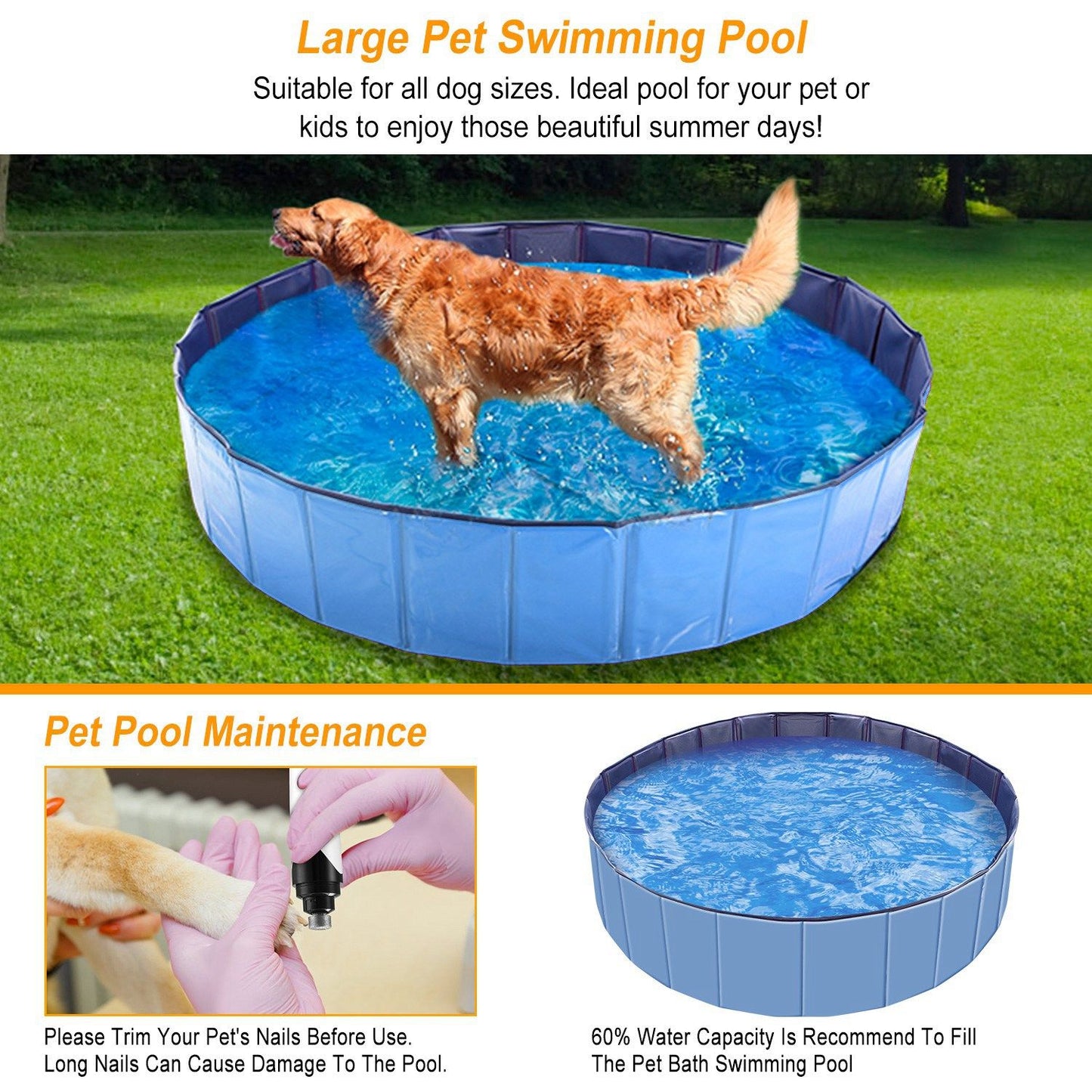 Studio shot of blue foldable pet pool with segmented panels and dark interior lining