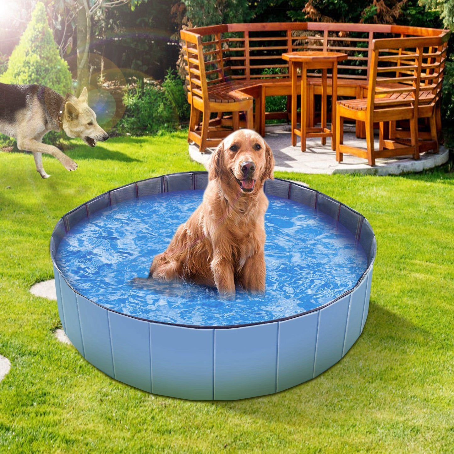 Blue pool filled with water under row of dog breeds to show fit for various sizes and recommended fill level