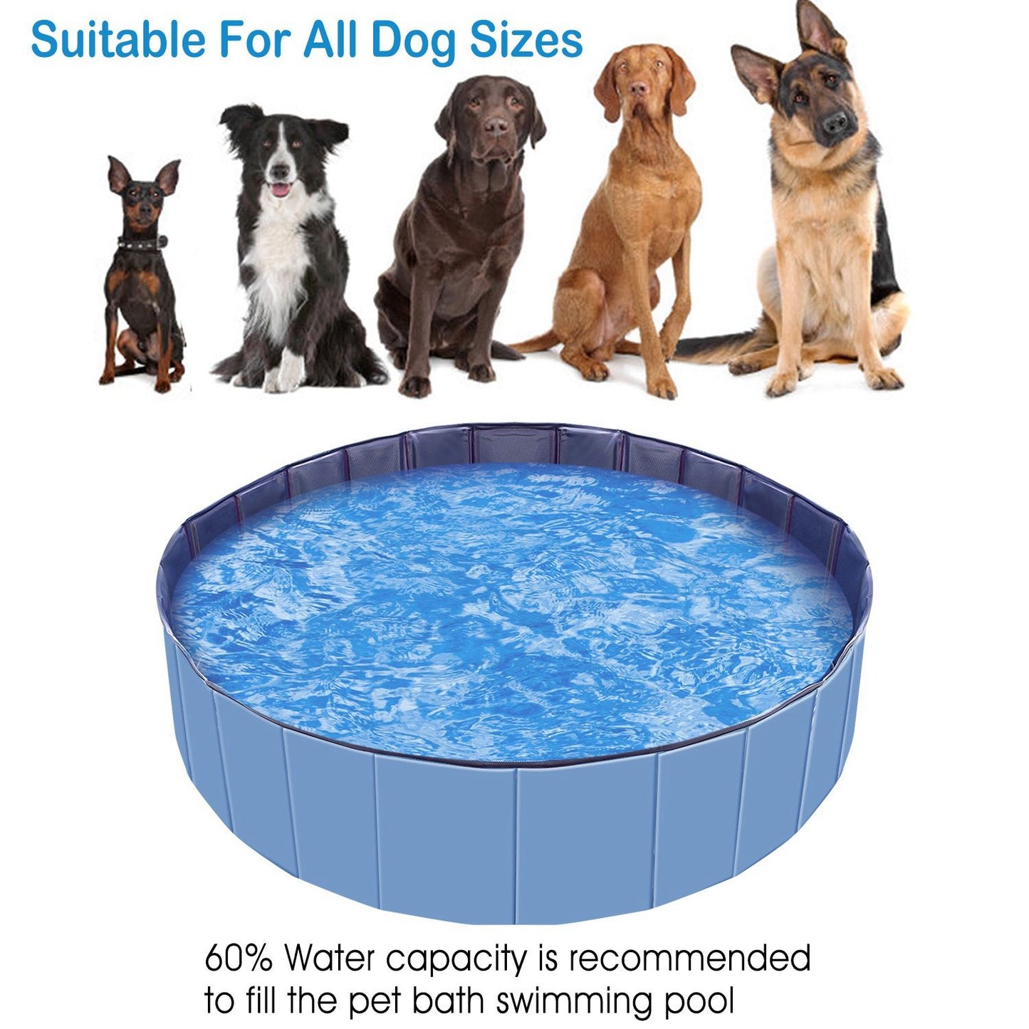 Collage of family and pet activities using the pool in different home and yard settings