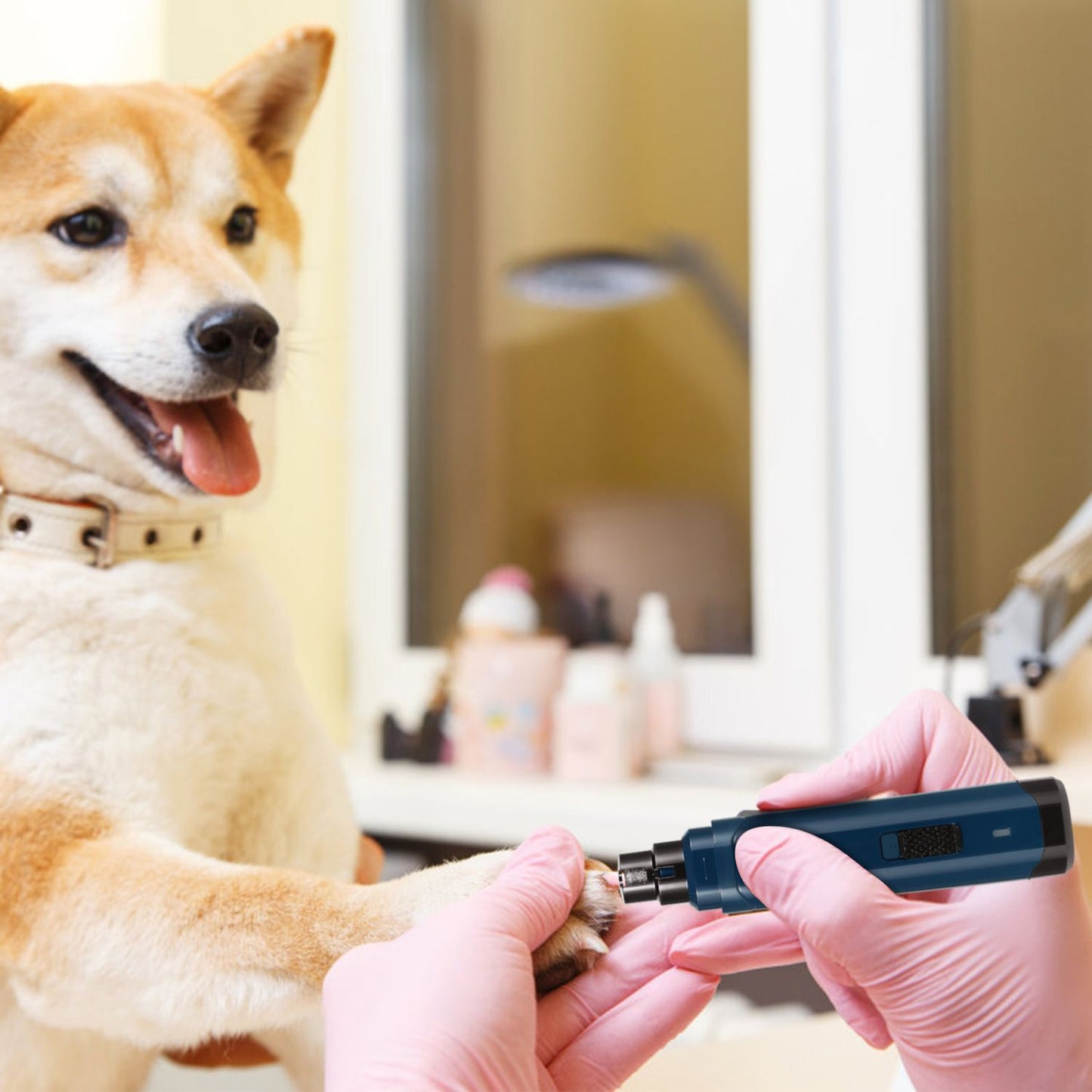 Groomer using cordless nail grinder on dog paw, showing grip and diamond bit in use