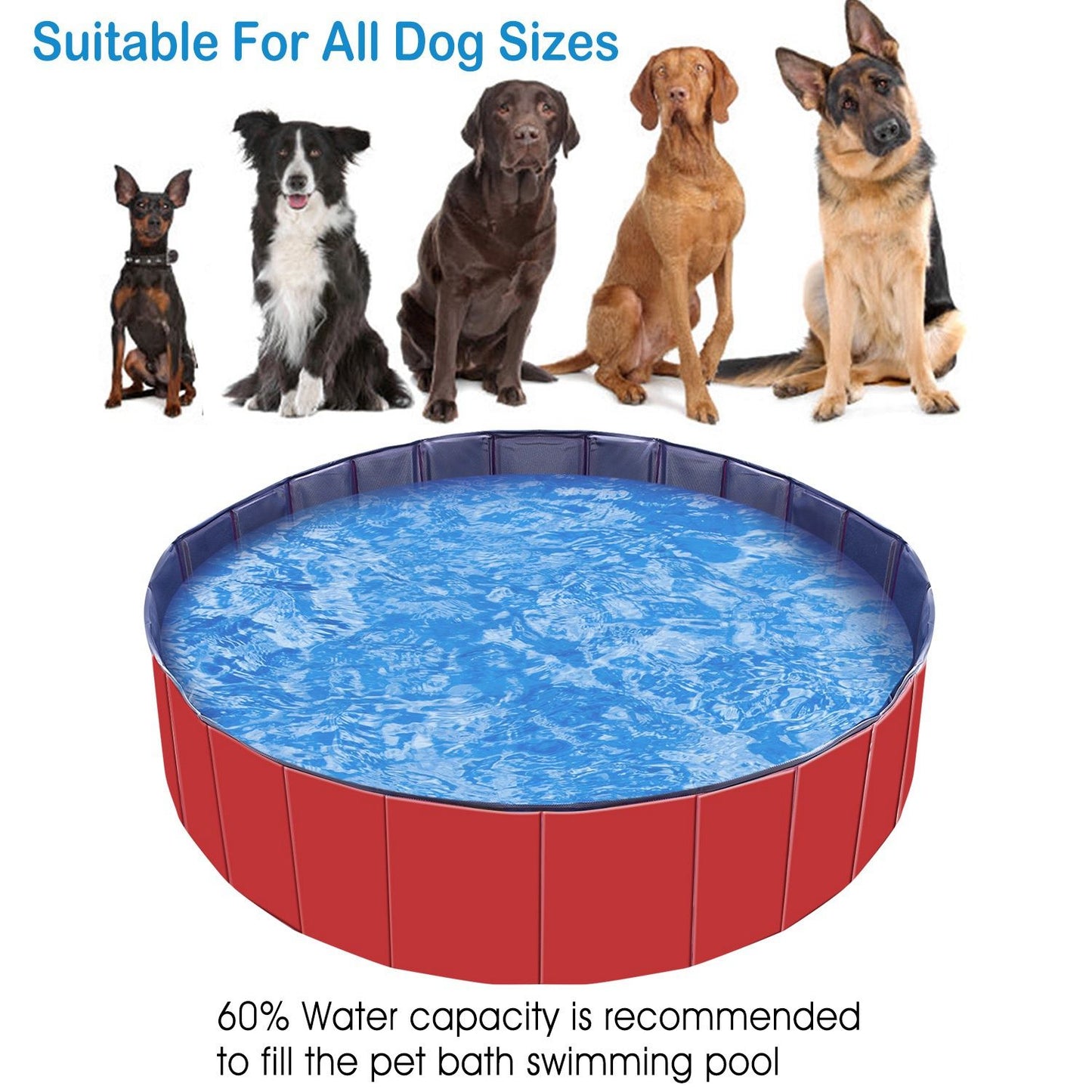 Pool filled with water and silhouettes of various dog breeds to show suitability for different sizes