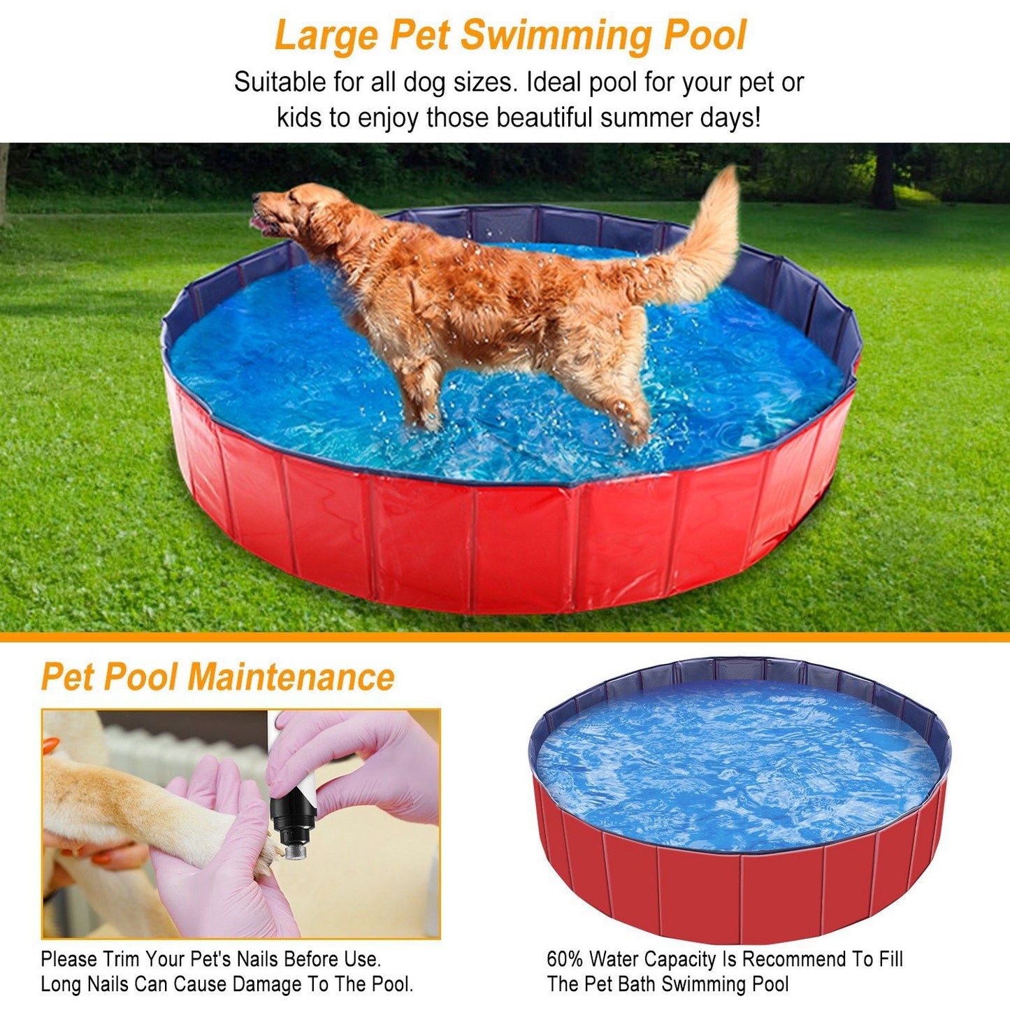 Golden retriever standing in red pet pool outdoors to show size and use