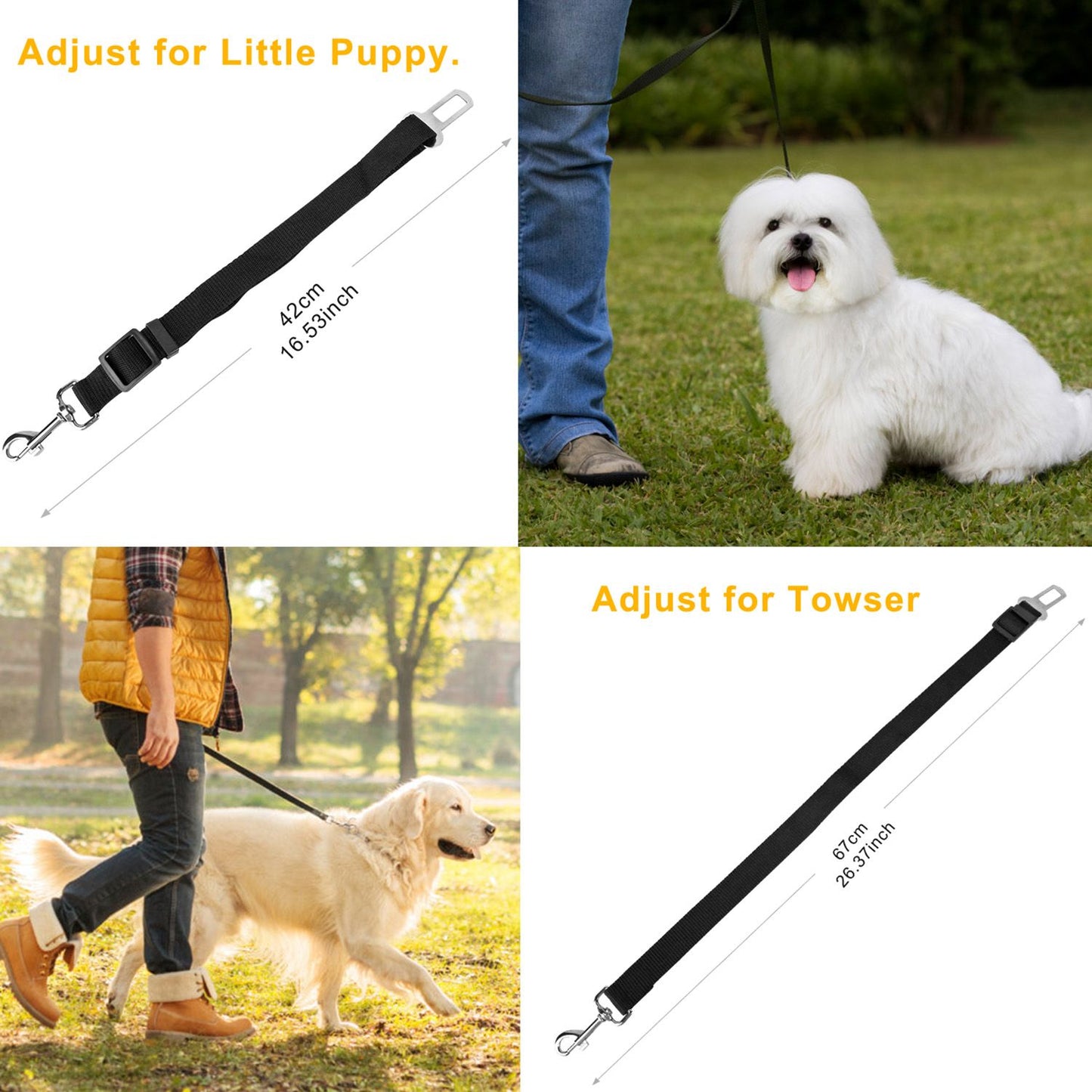Two strap lengths shown with measurements 42cm and 67cm alongside small and large dogs to show adjustable sizes