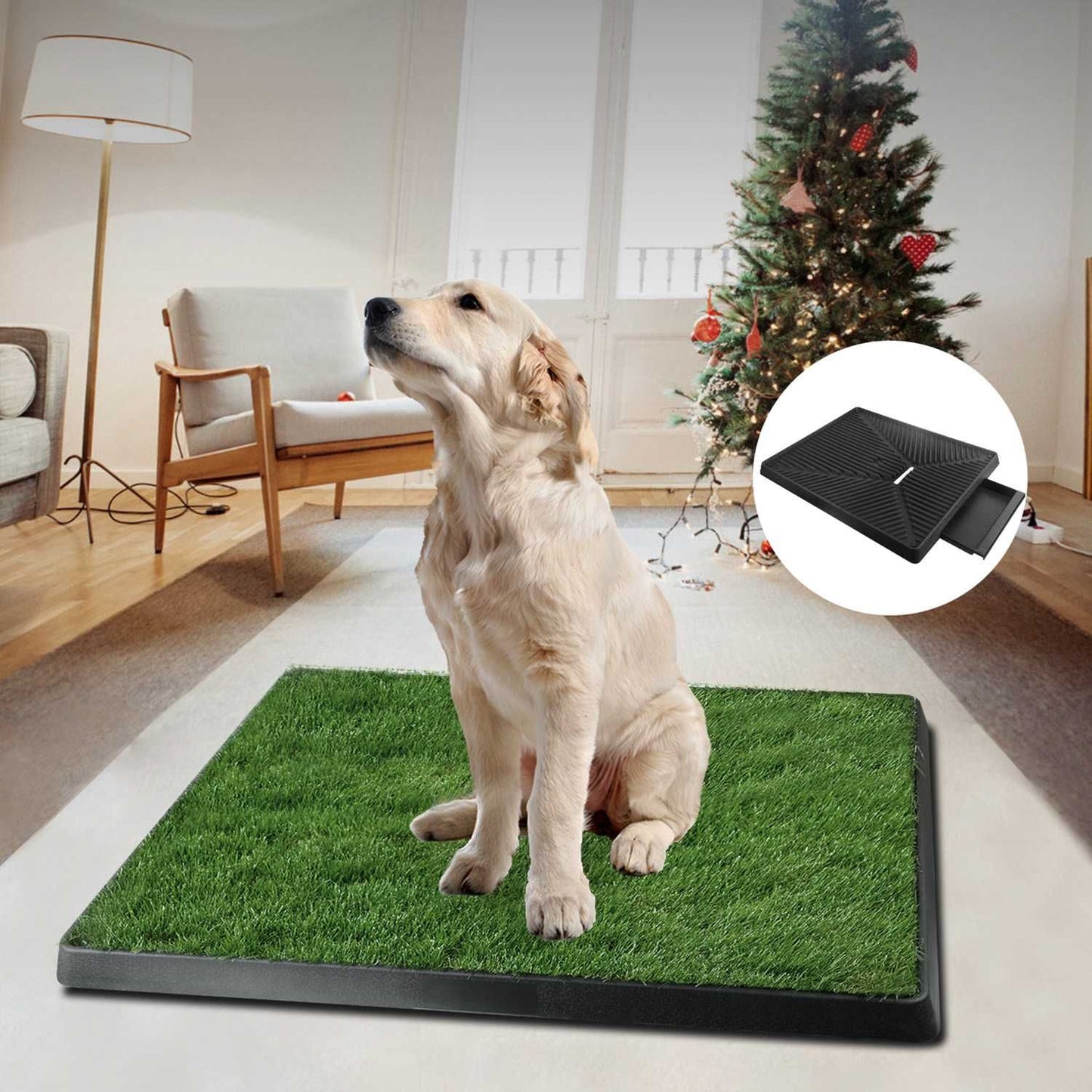 Indoor living-room view of dog on artificial grass potty pad used as an unobtrusive indoor solution