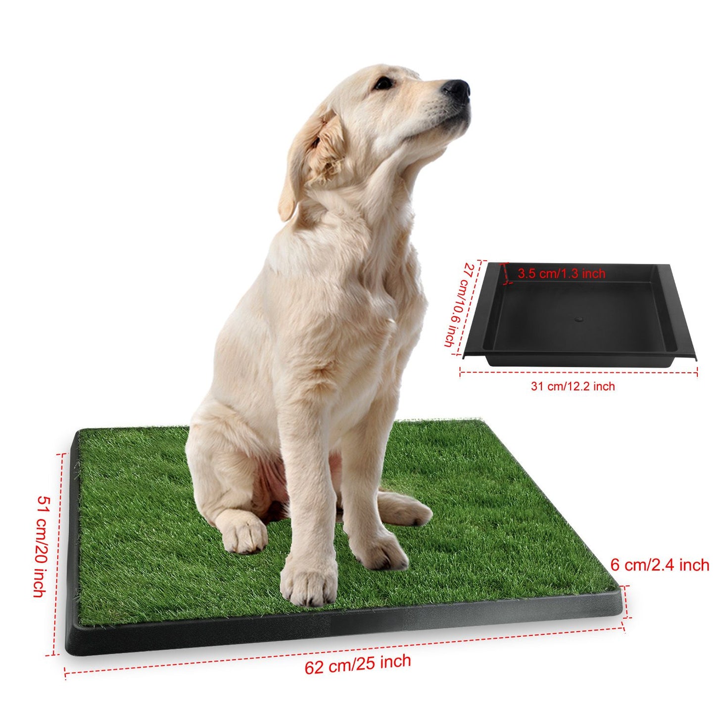 Dimension graphic showing 62x51x6 cm grass pad and inset removable waste tray dimensions