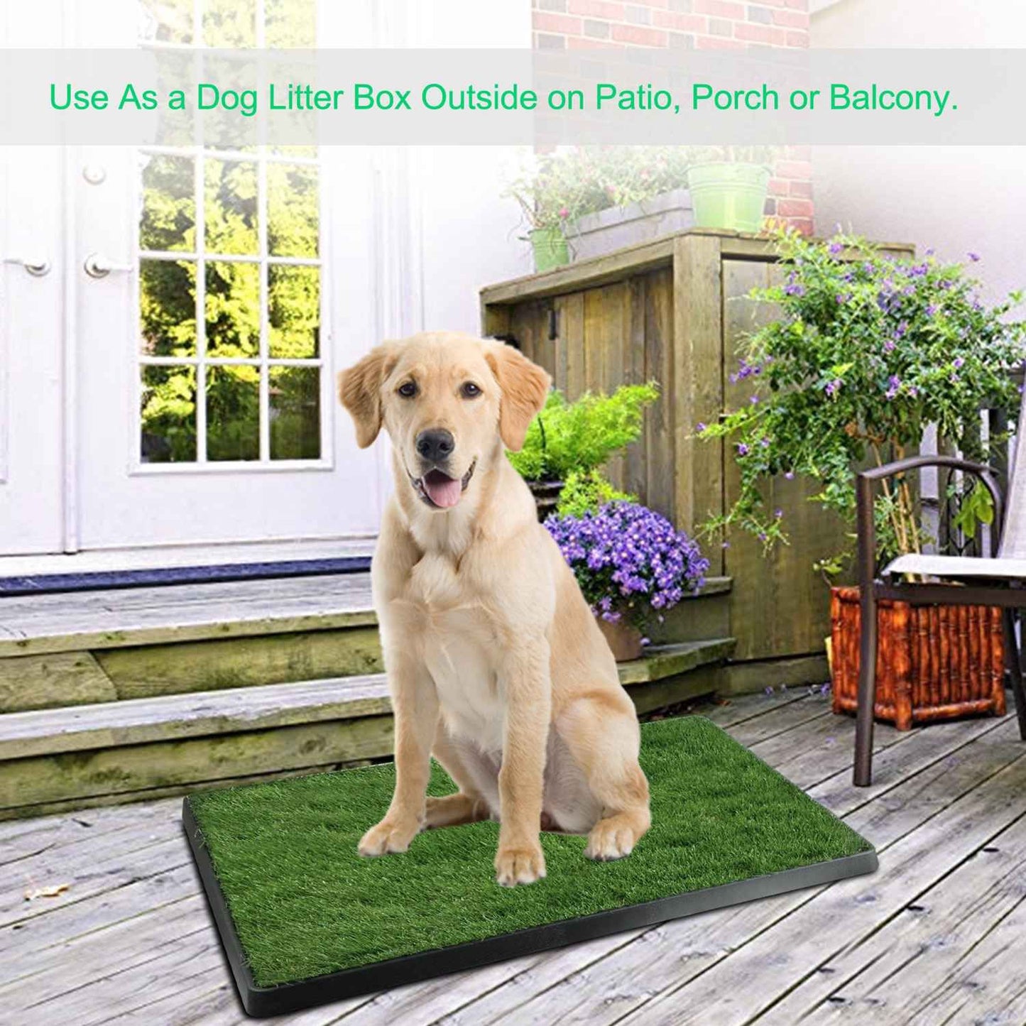 Dog using artificial grass potty pad on a wooden porch to illustrate outdoor placement