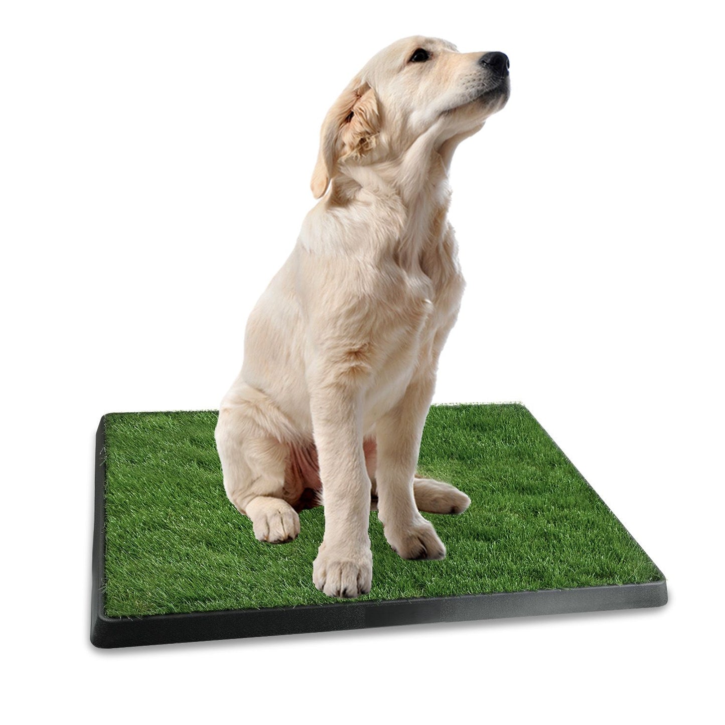 Rectangular artificial grass potty mat with dense turf and black molded rim shown on white background