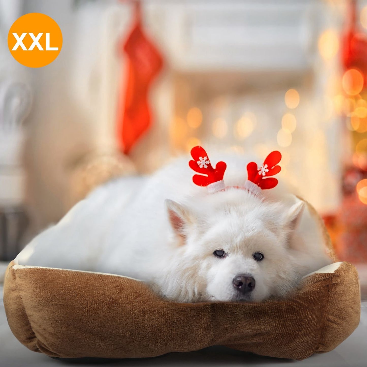 Large brown plush dog bed in use with a white fluffy dog resting on it in a holiday-styled background
