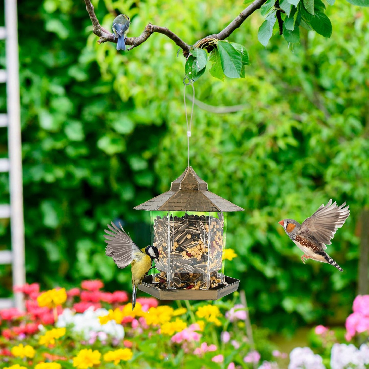 Green gazebo bird feeder hanging from branch in garden with birds approaching