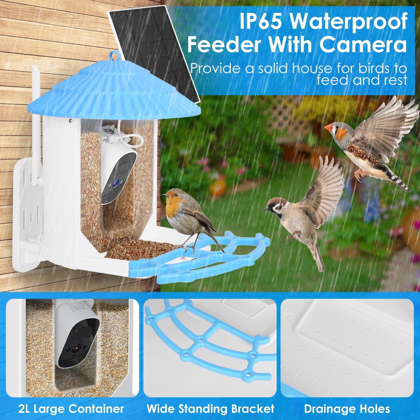 IP65 waterproof bird feeder with camera shown in rain, seeds visible inside