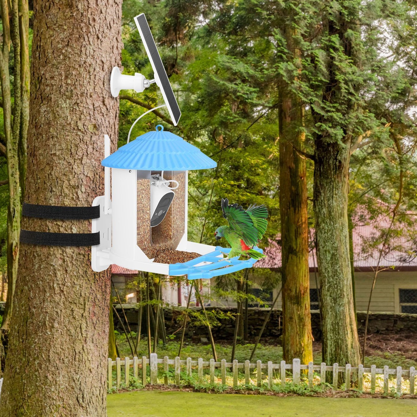 Solar bird feeder strapped to a tree with camera inside and a parrot on the perch