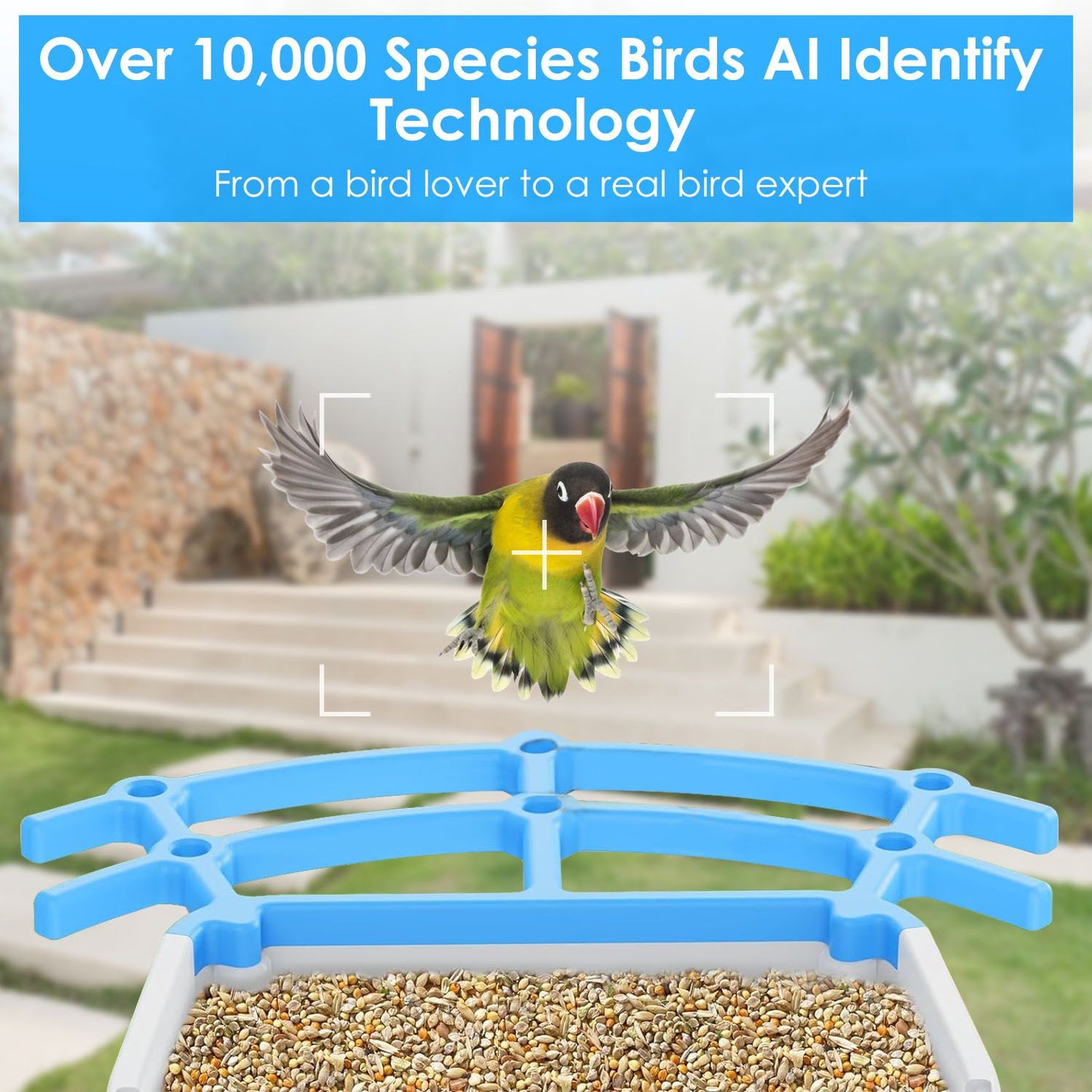 AI bird identification banner showing a bird in flight over feeder perch and seeds