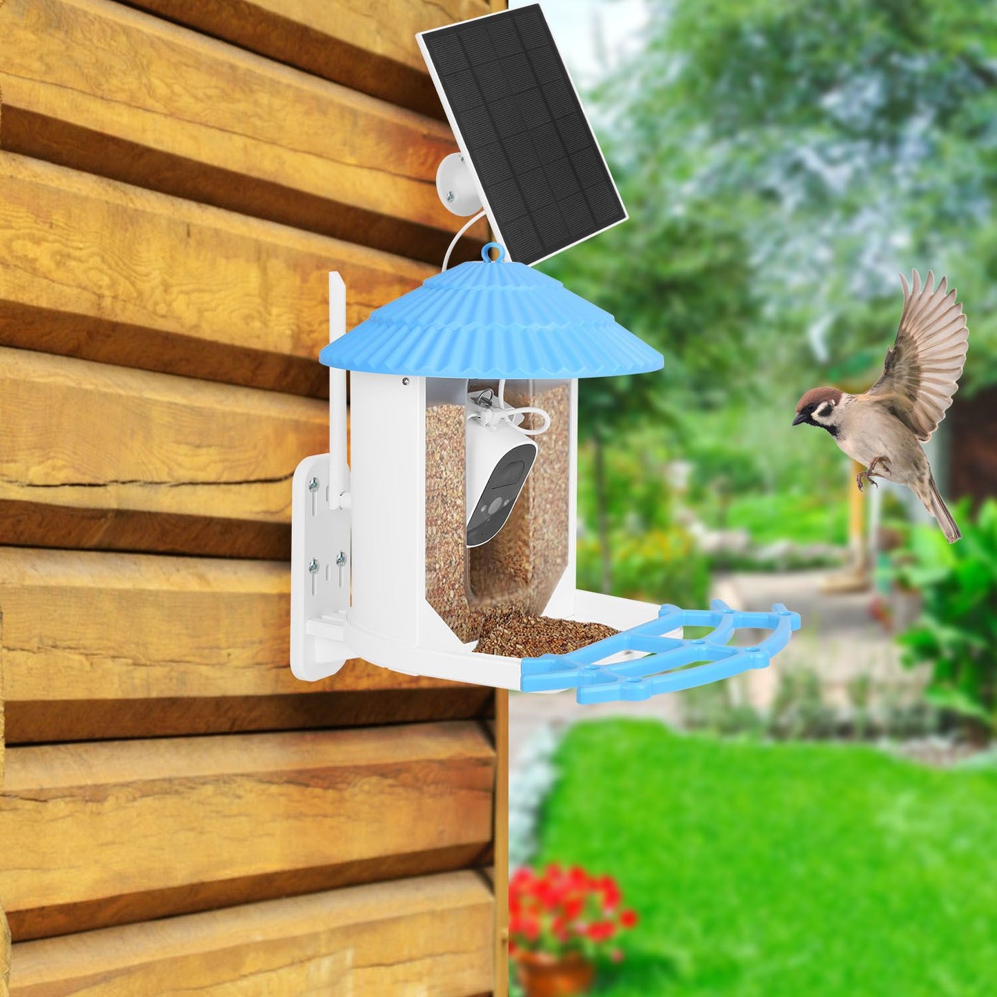 Wall-mounted solar bird feeder with camera next to wooden siding and bird approaching perch