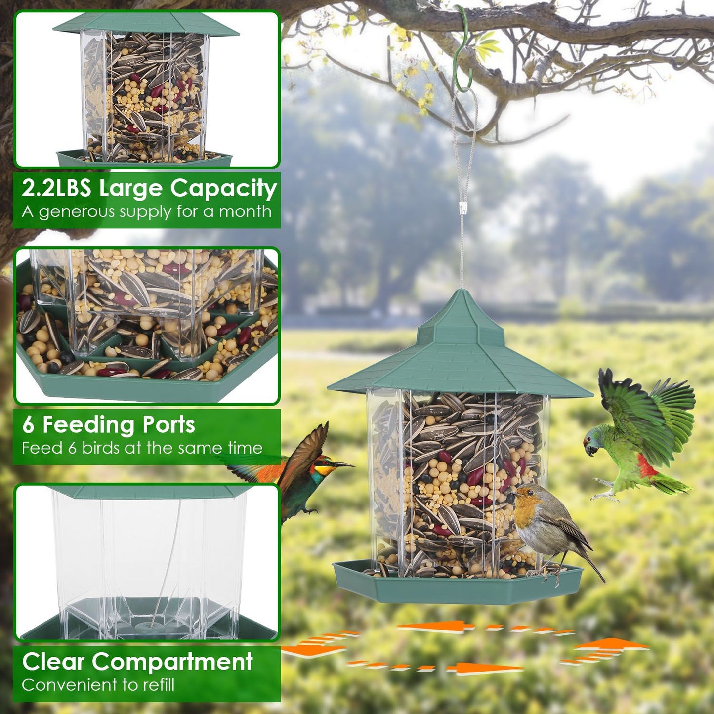Product feature collage showing capacity, six feeding ports and clear seed compartment