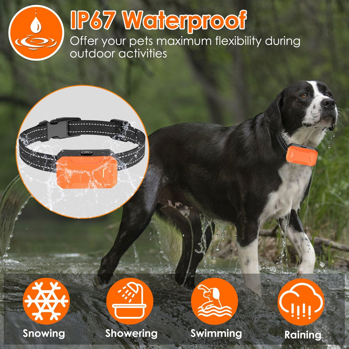 Dog wearing orange receiver and black reflective collar standing in water, inset shows collar with water splashes