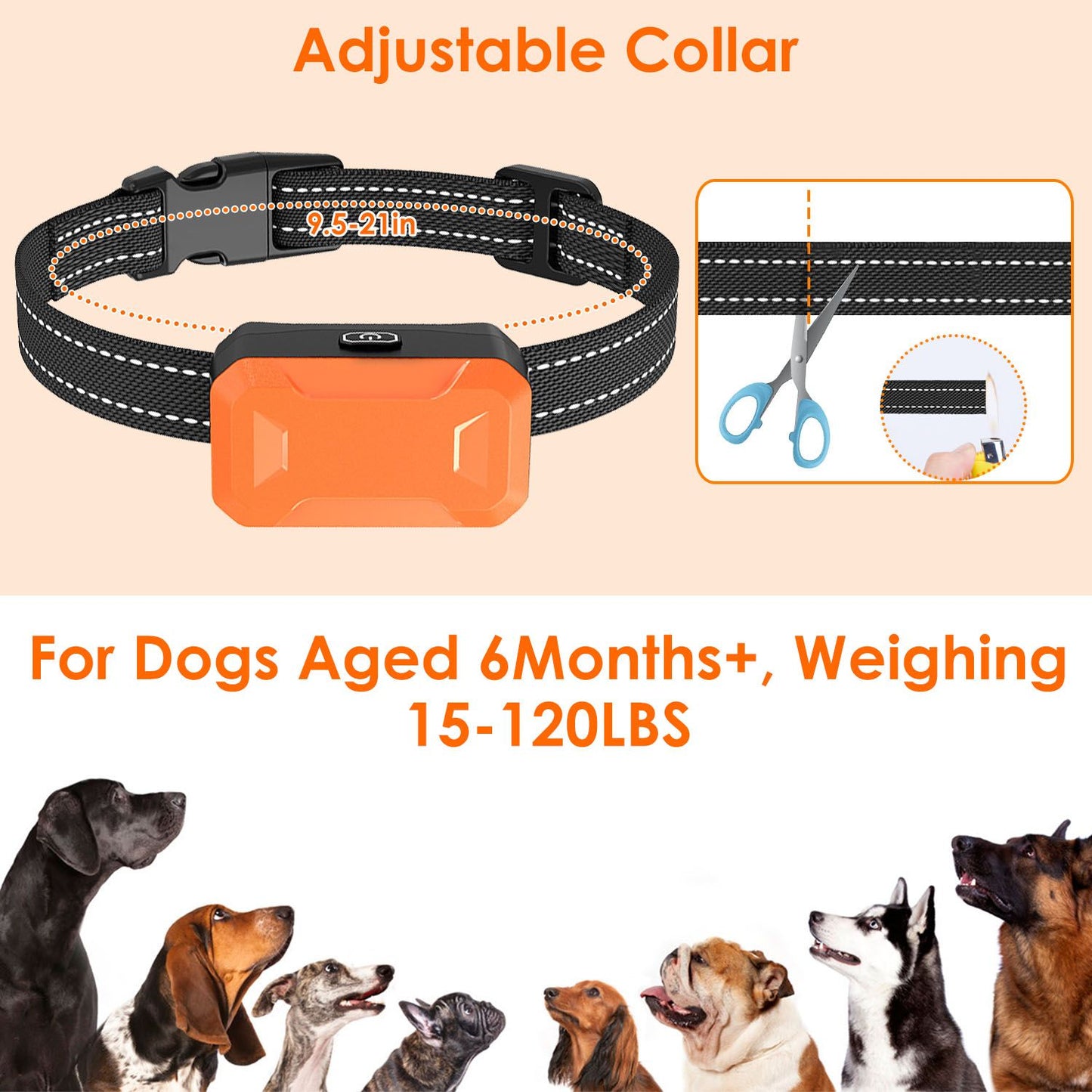 People outdoors using wrist strap and transmitter while dog responds to training commands