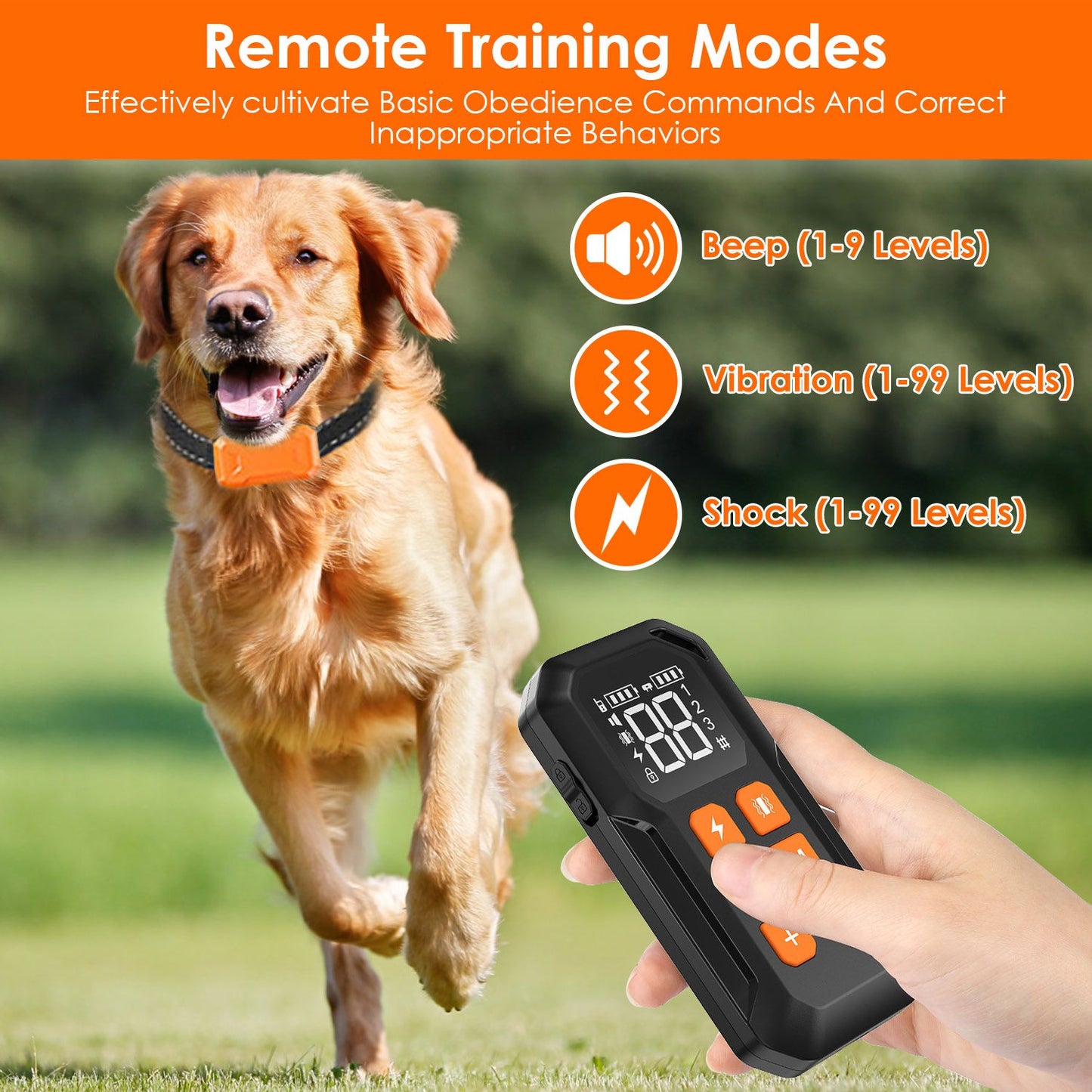 Diagram of wireless radial fence from transmitter with dog near boundary showing adjustable containment radius