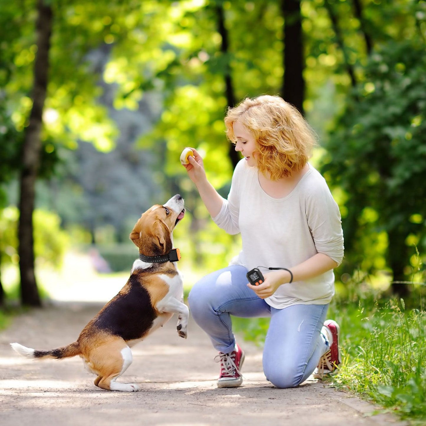 Dog and handler in park with transmitter on wrist strap and orange receiver on collar for outdoor training