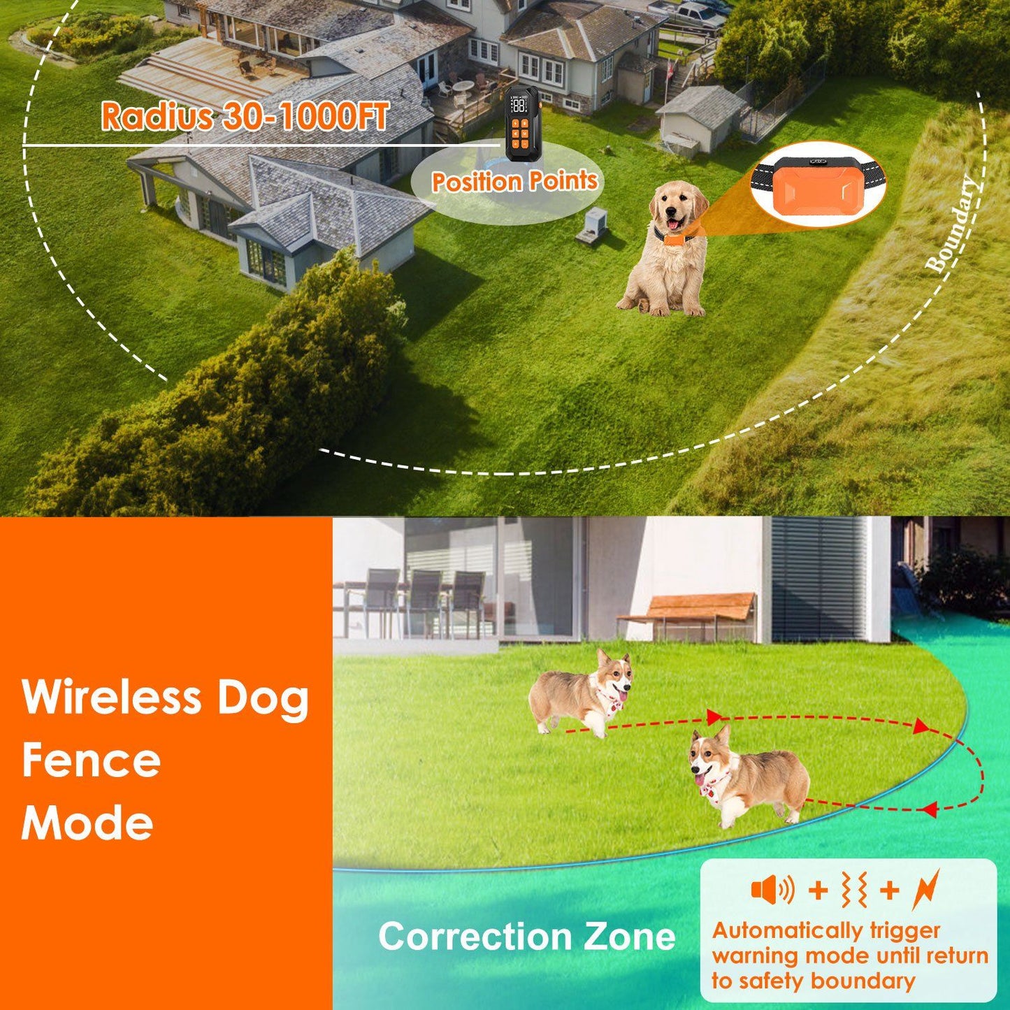 Dog wearing orange receiver walking through water to illustrate IP67 waterproof collar performance