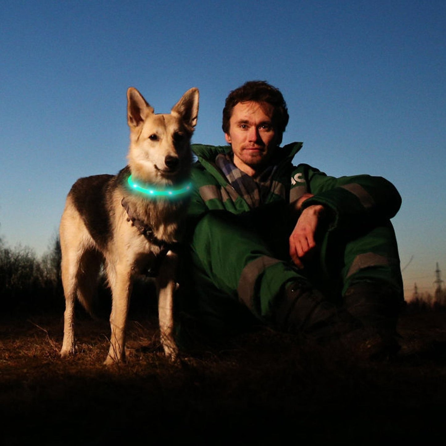 dog standing next to seated person at dusk wearing illuminated LED collar for twilight visibility